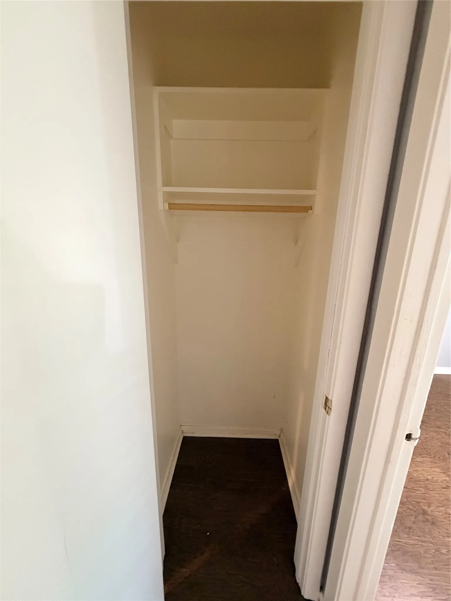 Built-in shelving with hanging rod, wood-finish flooring