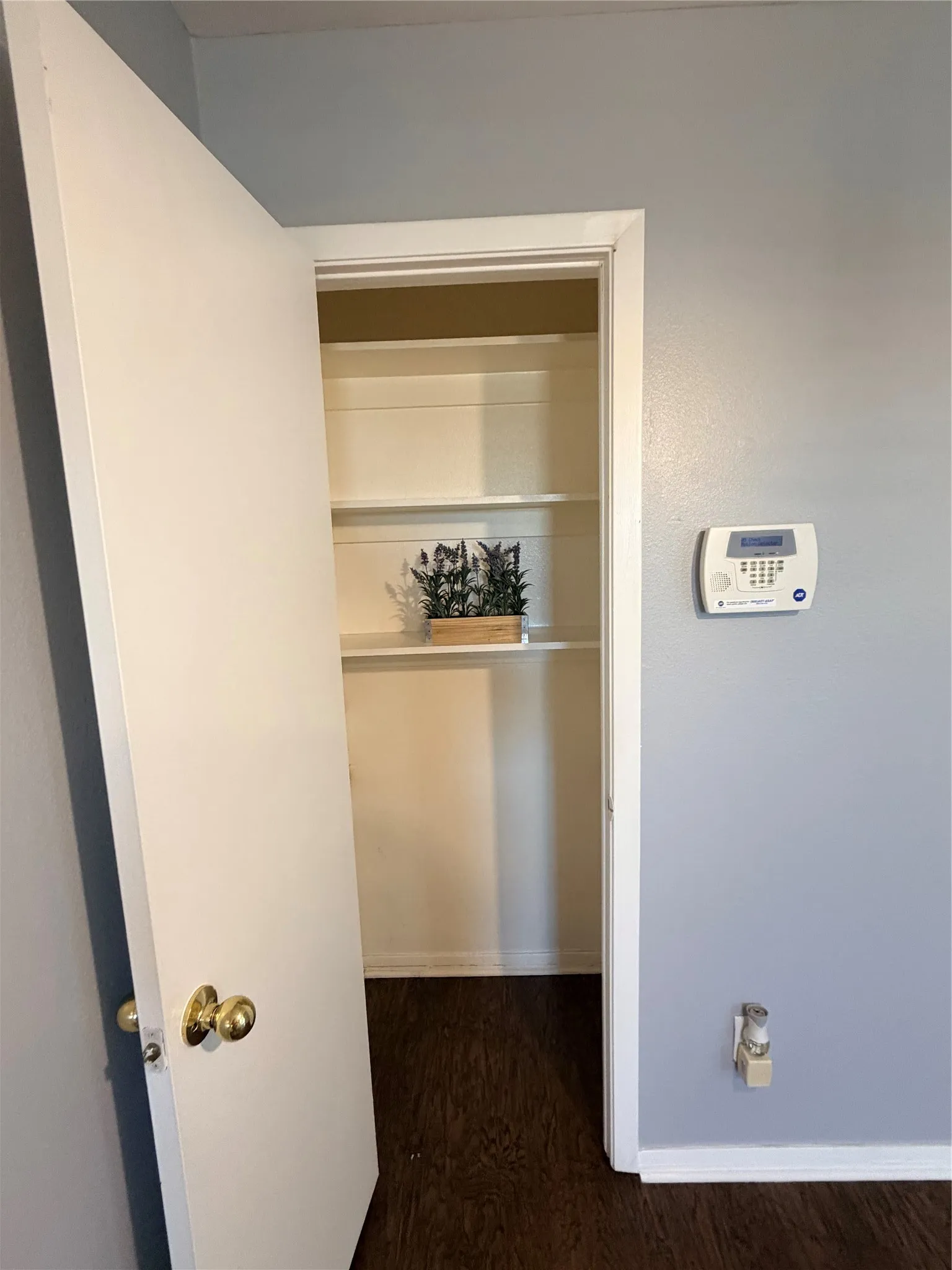 Built-in shelving with wood-finish flooring