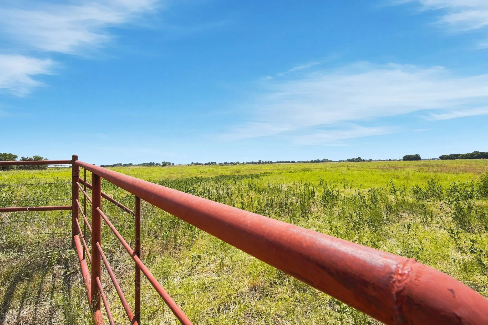 Improved Land For Sale in Ellis County , 501 Chaparall Road, Ferris, Texas 75125, 0, 0, Garage spaces, 0 Sqft, built in 1962, mls#21371865, Real Estate Agent in Ferris, Homes For Sale in Ellis county, Homes For Sale in Ferris, Realtor in Ferris Texas, Real Estate Brokerage Independent Realty Texas, Luminita Cordes Realtor