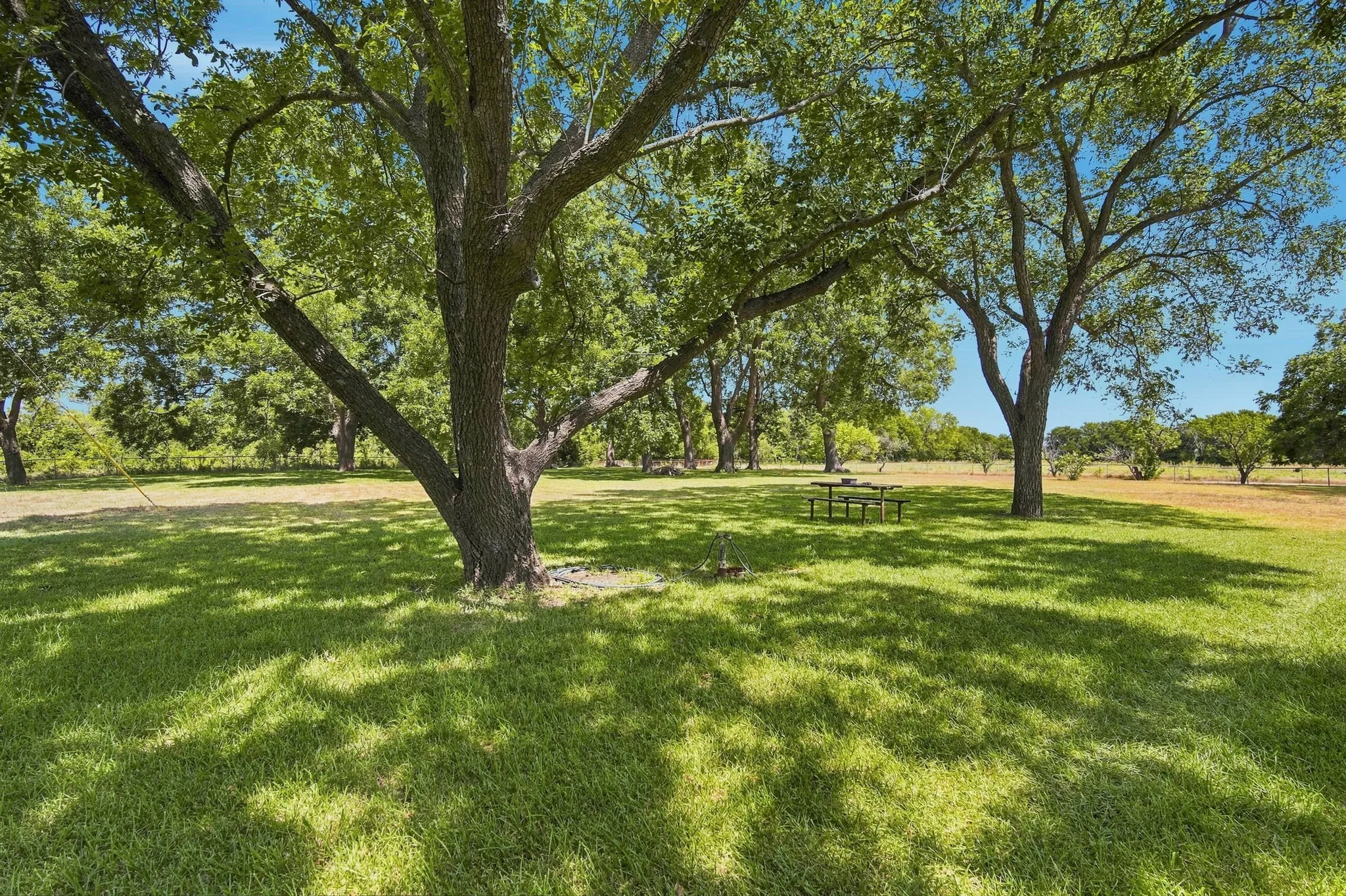 Improved Land For Sale in Ellis County , 501 Chaparall Road, Ferris, Texas 75125, 0, 0, Garage spaces, 0 Sqft, built in 1962, mls#21371865, Real Estate Agent in Ferris, Homes For Sale in Ellis county, Homes For Sale in Ferris, Realtor in Ferris Texas, Real Estate Brokerage Independent Realty Texas, Luminita Cordes Realtor