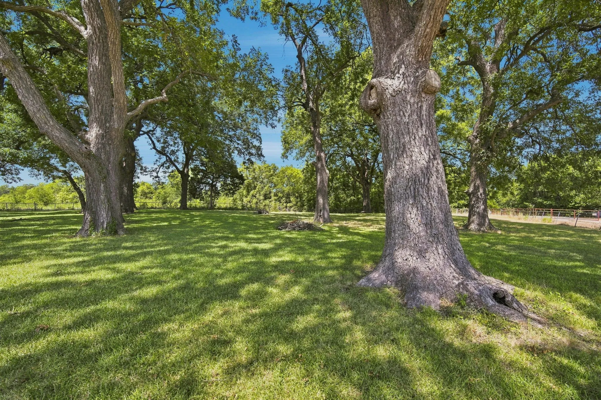 Improved Land For Sale in Ellis County , 501 Chaparall Road, Ferris, Texas 75125, 0, 0, Garage spaces, 0 Sqft, built in 1962, mls#21371865, Real Estate Agent in Ferris, Homes For Sale in Ellis county, Homes For Sale in Ferris, Realtor in Ferris Texas, Real Estate Brokerage Independent Realty Texas, Luminita Cordes Realtor