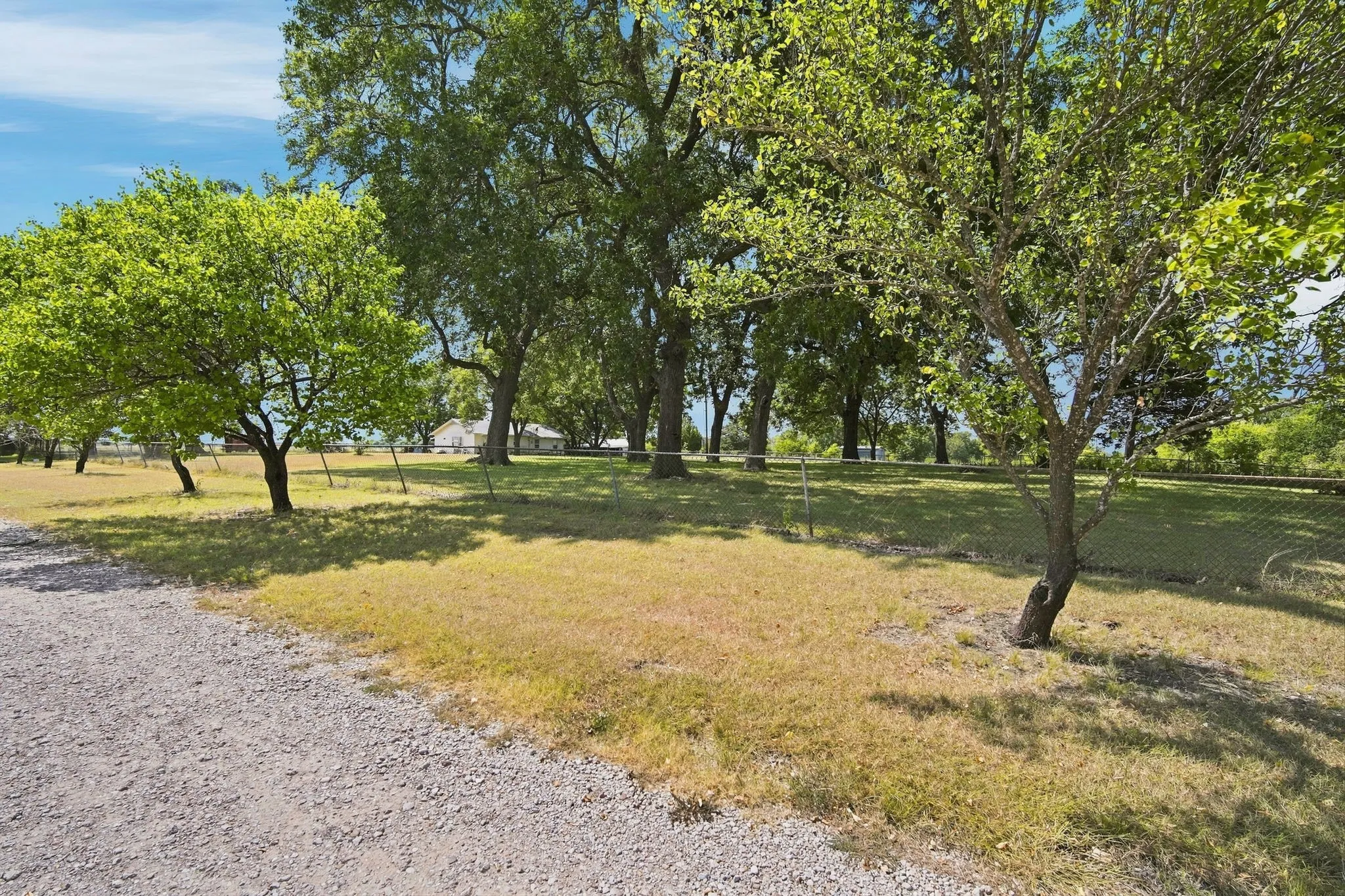 Improved Land For Sale in Ellis County , 501 Chaparall Road, Ferris, Texas 75125, 0, 0, Garage spaces, 0 Sqft, built in 1962, mls#21371865, Real Estate Agent in Ferris, Homes For Sale in Ellis county, Homes For Sale in Ferris, Realtor in Ferris Texas, Real Estate Brokerage Independent Realty Texas, Luminita Cordes Realtor