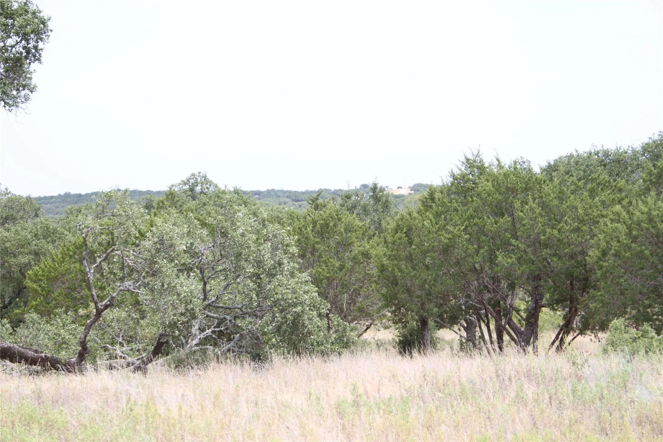 Improved Land For Sale in San Saba County , 9495 Turkey Trail, San Saba, Texas 76877, 0, 0, Garage spaces, 0 Sqft, built in 0, mls#21370876, Real Estate Agent in San Saba, Homes For Sale in San Saba county, Homes For Sale in San Saba, Realtor in San Saba Texas, Real Estate Brokerage Independent Realty Texas, Luminita Cordes Realtor