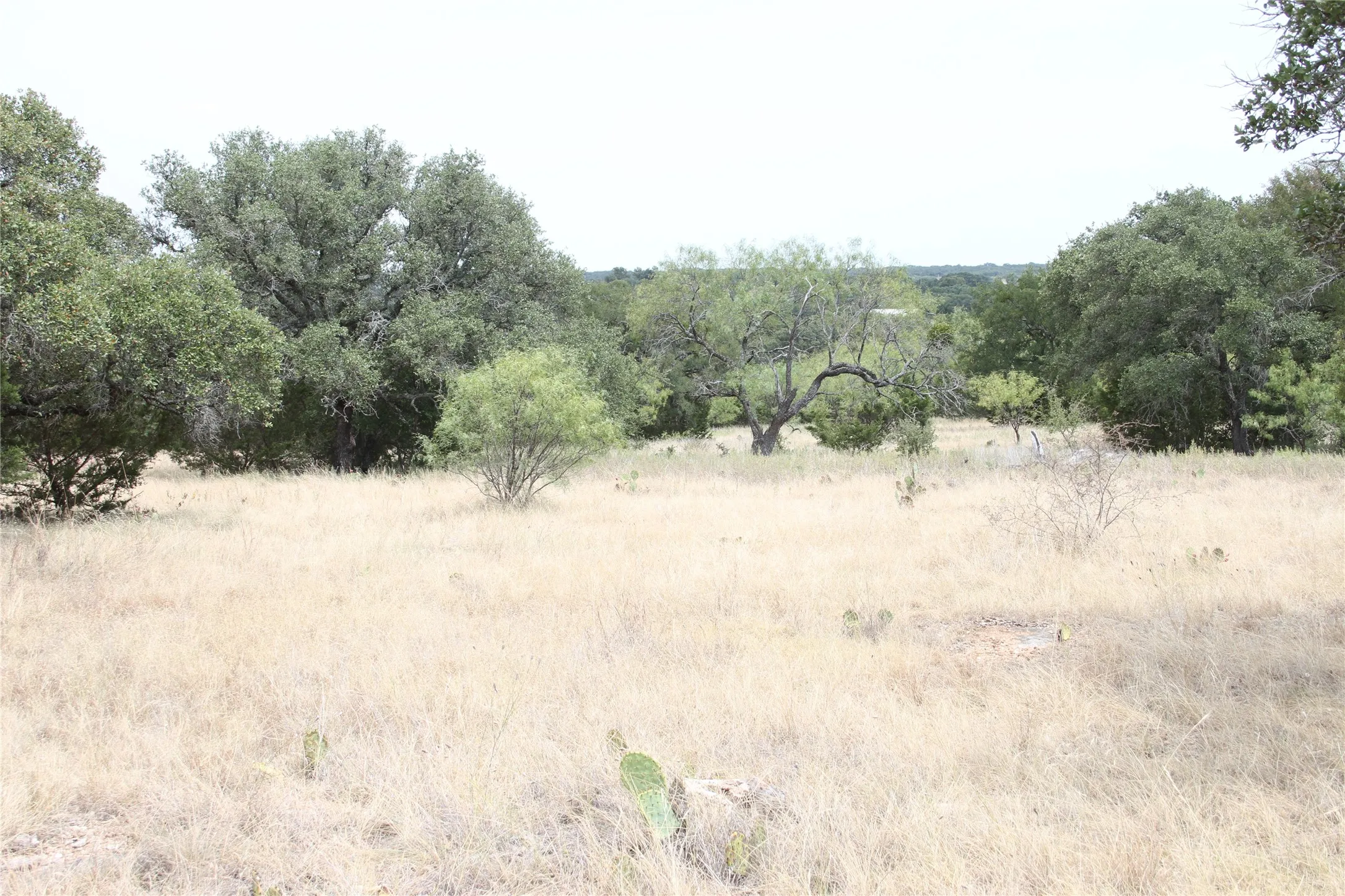 Improved Land For Sale in San Saba County , 9495 Turkey Trail, San Saba, Texas 76877, 0, 0, Garage spaces, 0 Sqft, built in 0, mls#21370876, Real Estate Agent in San Saba, Homes For Sale in San Saba county, Homes For Sale in San Saba, Realtor in San Saba Texas, Real Estate Brokerage Independent Realty Texas, Luminita Cordes Realtor