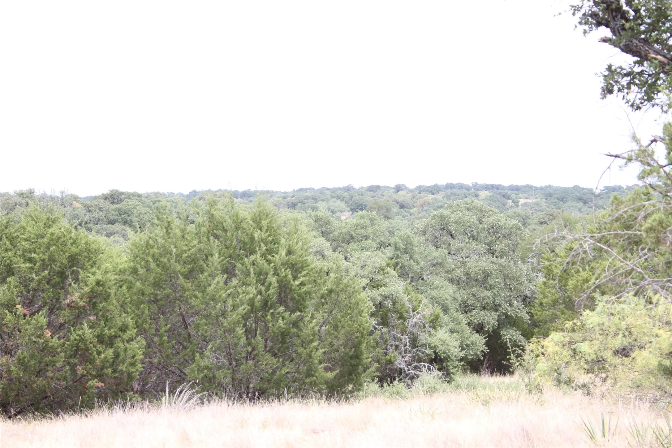 Improved Land For Sale in San Saba County , 9495 Turkey Trail, San Saba, Texas 76877, 0, 0, Garage spaces, 0 Sqft, built in 0, mls#21370876, Real Estate Agent in San Saba, Homes For Sale in San Saba county, Homes For Sale in San Saba, Realtor in San Saba Texas, Real Estate Brokerage Independent Realty Texas, Luminita Cordes Realtor