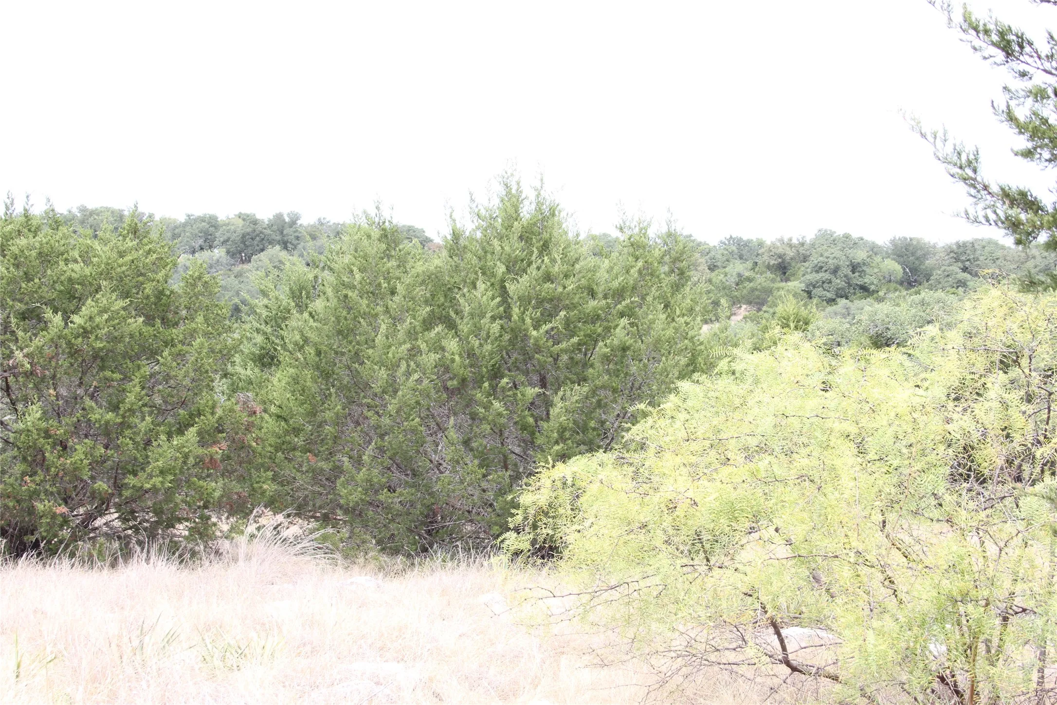 Improved Land For Sale in San Saba County , 9495 Turkey Trail, San Saba, Texas 76877, 0, 0, Garage spaces, 0 Sqft, built in 0, mls#21370876, Real Estate Agent in San Saba, Homes For Sale in San Saba county, Homes For Sale in San Saba, Realtor in San Saba Texas, Real Estate Brokerage Independent Realty Texas, Luminita Cordes Realtor