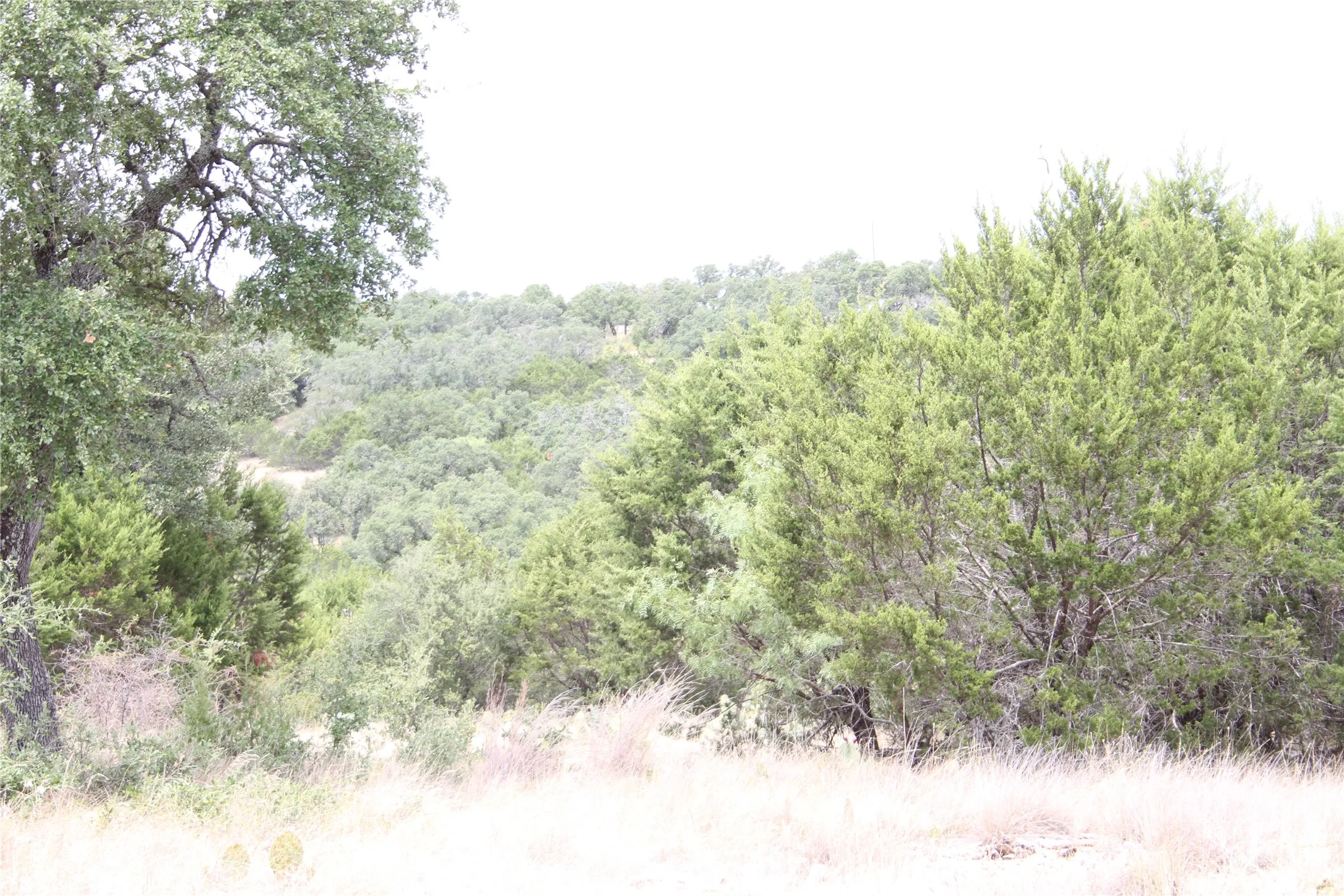 Improved Land For Sale in San Saba County , 9495 Turkey Trail, San Saba, Texas 76877, 0, 0, Garage spaces, 0 Sqft, built in 0, mls#21370876, Real Estate Agent in San Saba, Homes For Sale in San Saba county, Homes For Sale in San Saba, Realtor in San Saba Texas, Real Estate Brokerage Independent Realty Texas, Luminita Cordes Realtor