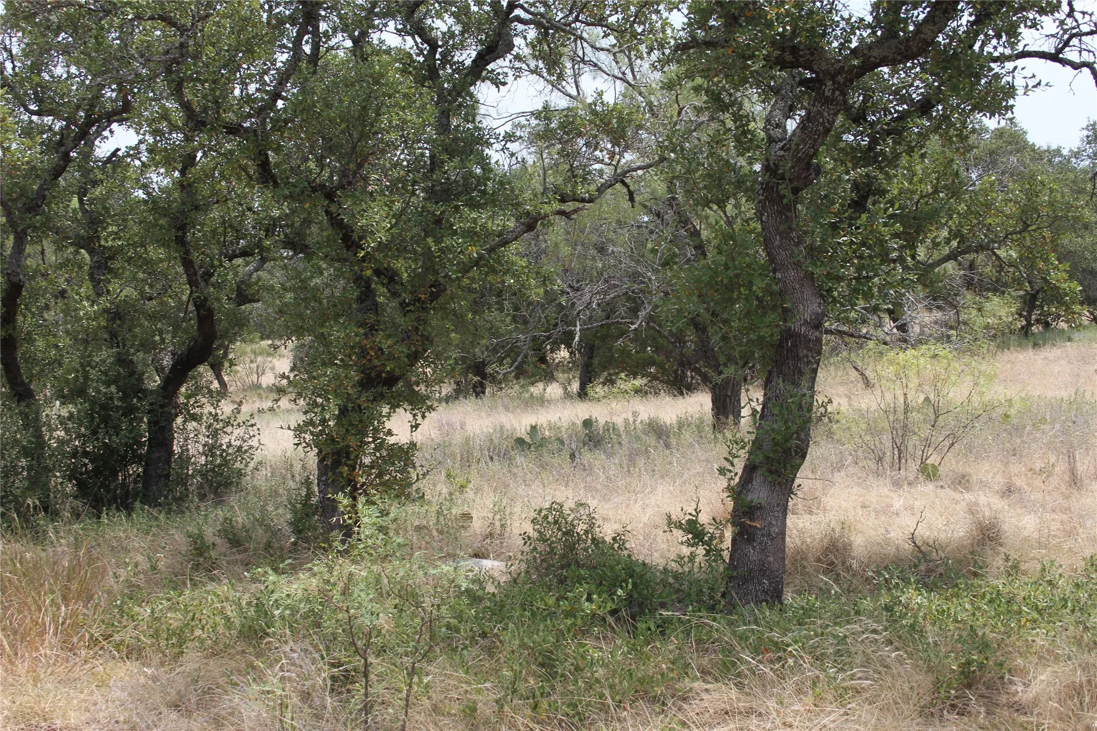 Improved Land For Sale in San Saba County , 9495 Turkey Trail, San Saba, Texas 76877, 0, 0, Garage spaces, 0 Sqft, built in 0, mls#21370876, Real Estate Agent in San Saba, Homes For Sale in San Saba county, Homes For Sale in San Saba, Realtor in San Saba Texas, Real Estate Brokerage Independent Realty Texas, Luminita Cordes Realtor