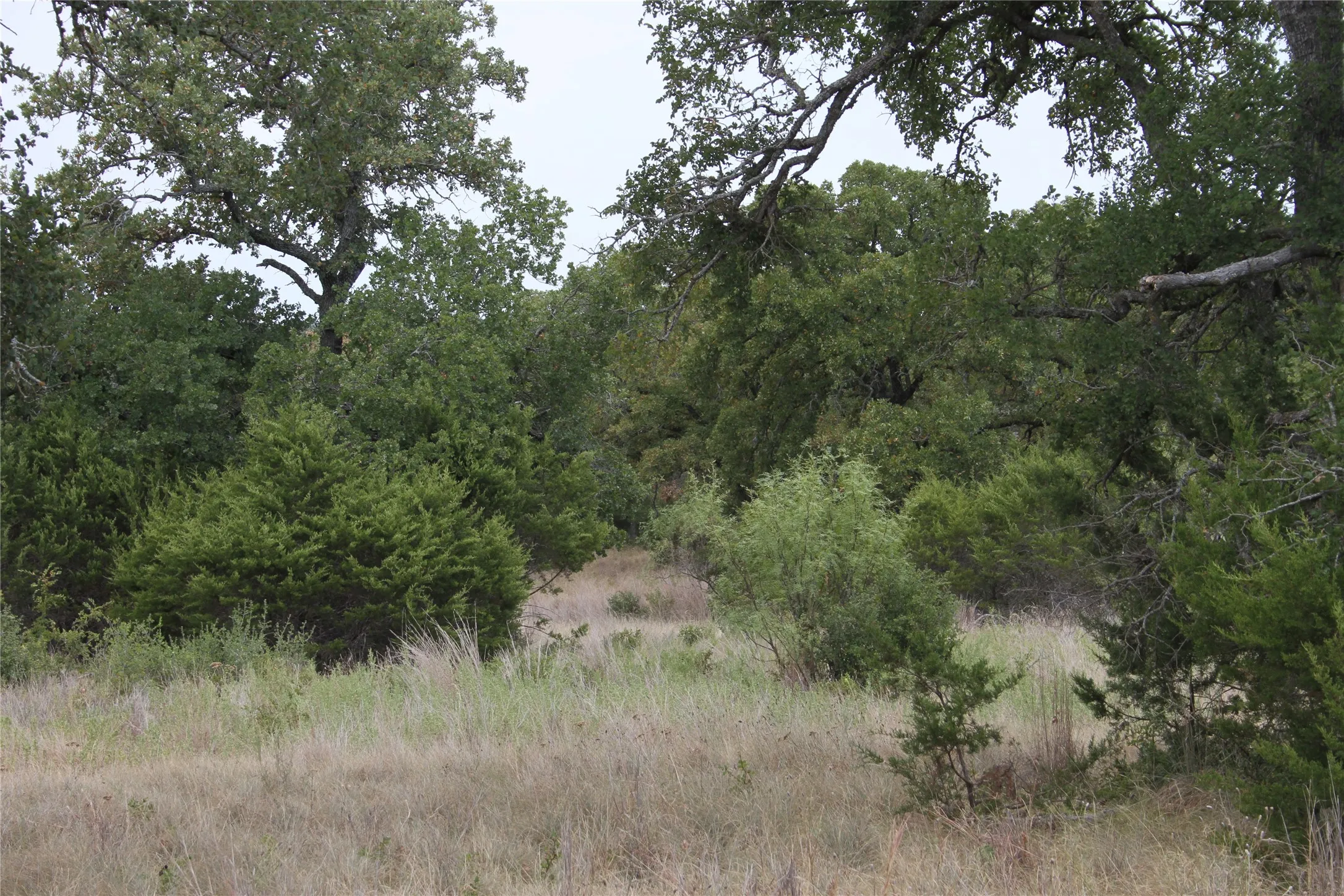 Improved Land For Sale in San Saba County , 9495 Turkey Trail, San Saba, Texas 76877, 0, 0, Garage spaces, 0 Sqft, built in 0, mls#21370876, Real Estate Agent in San Saba, Homes For Sale in San Saba county, Homes For Sale in San Saba, Realtor in San Saba Texas, Real Estate Brokerage Independent Realty Texas, Luminita Cordes Realtor