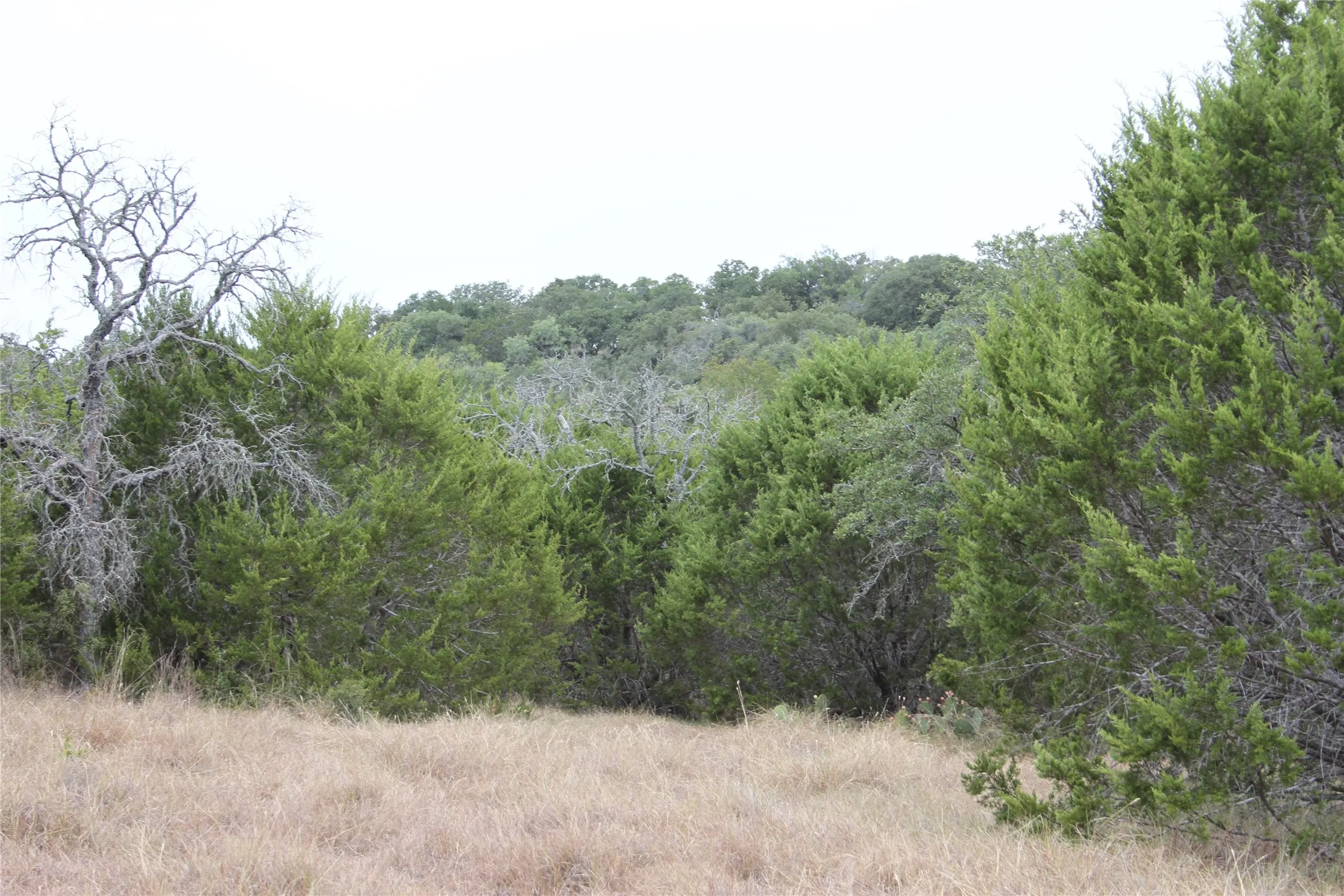 Improved Land For Sale in San Saba County , 9495 Turkey Trail, San Saba, Texas 76877, 0, 0, Garage spaces, 0 Sqft, built in 0, mls#21370876, Real Estate Agent in San Saba, Homes For Sale in San Saba county, Homes For Sale in San Saba, Realtor in San Saba Texas, Real Estate Brokerage Independent Realty Texas, Luminita Cordes Realtor