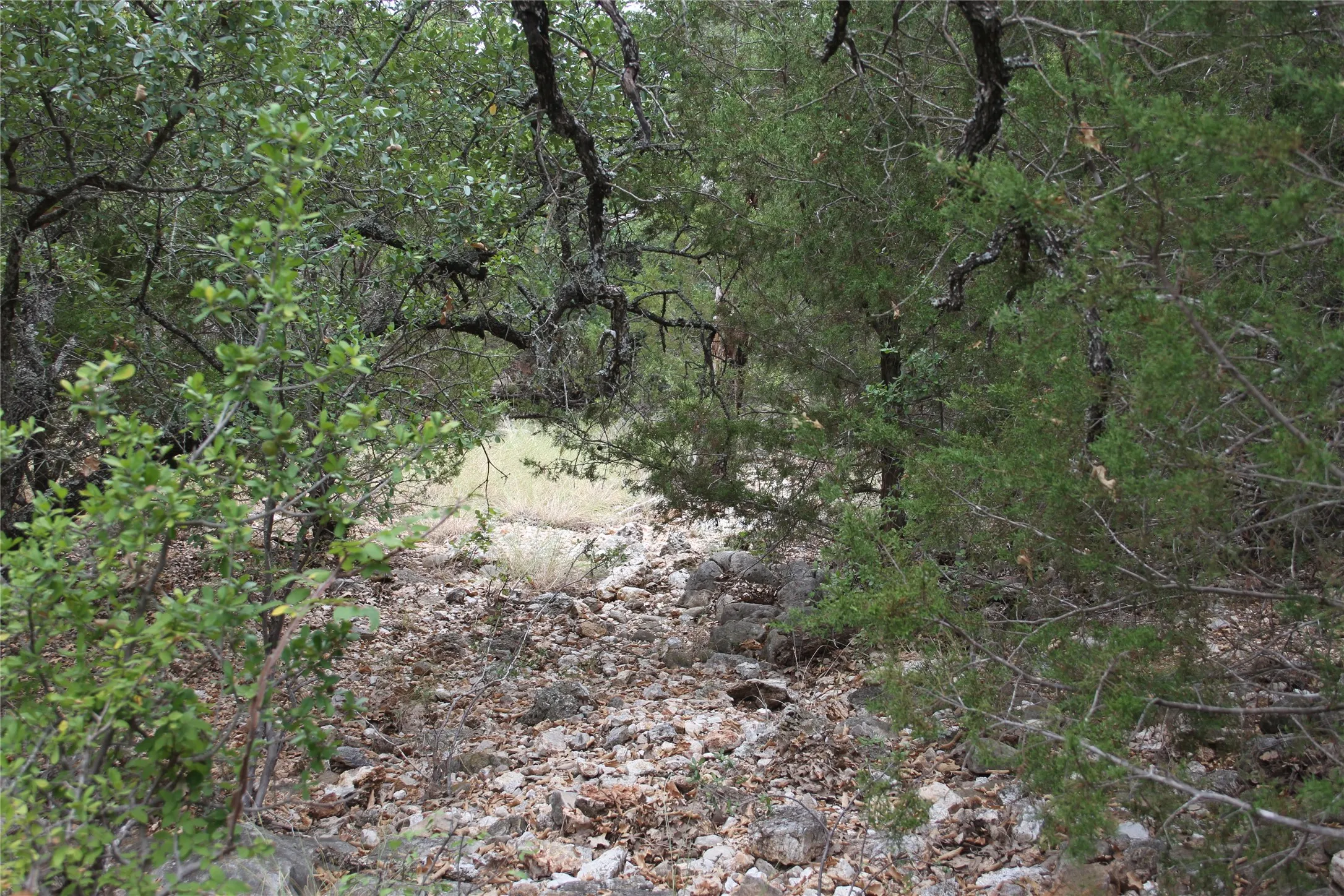 Improved Land For Sale in San Saba County , 9495 Turkey Trail, San Saba, Texas 76877, 0, 0, Garage spaces, 0 Sqft, built in 0, mls#21370876, Real Estate Agent in San Saba, Homes For Sale in San Saba county, Homes For Sale in San Saba, Realtor in San Saba Texas, Real Estate Brokerage Independent Realty Texas, Luminita Cordes Realtor