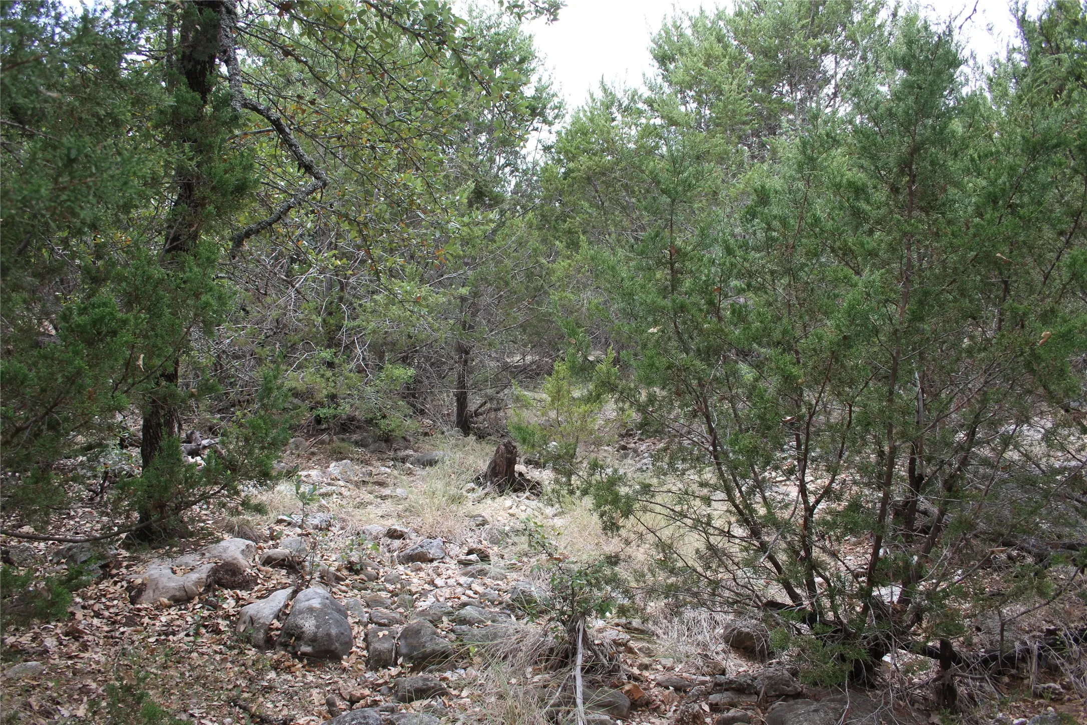 Improved Land For Sale in San Saba County , 9495 Turkey Trail, San Saba, Texas 76877, 0, 0, Garage spaces, 0 Sqft, built in 0, mls#21370876, Real Estate Agent in San Saba, Homes For Sale in San Saba county, Homes For Sale in San Saba, Realtor in San Saba Texas, Real Estate Brokerage Independent Realty Texas, Luminita Cordes Realtor