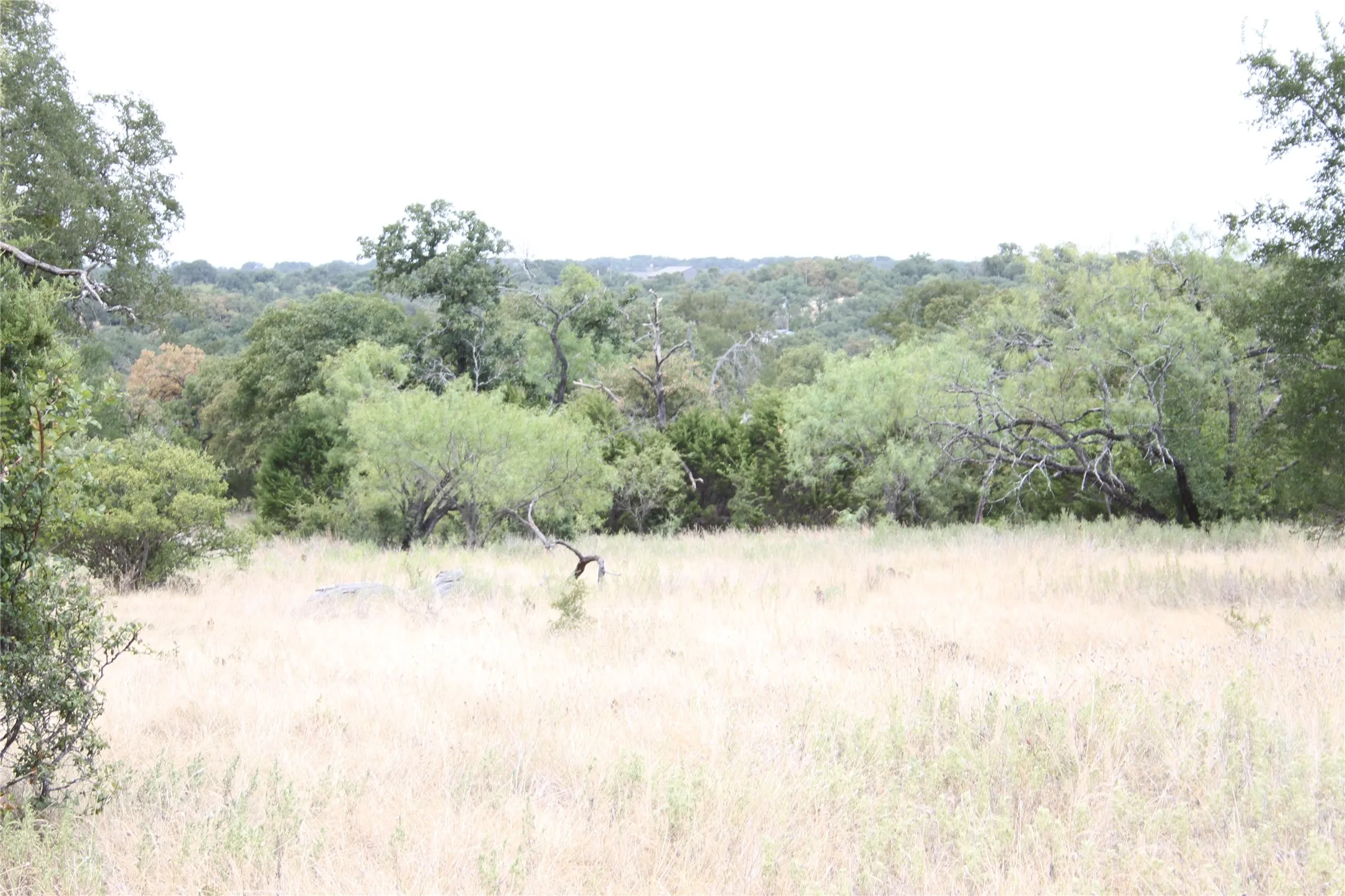 Improved Land For Sale in San Saba County , 9495 Turkey Trail, San Saba, Texas 76877, 0, 0, Garage spaces, 0 Sqft, built in 0, mls#21370876, Real Estate Agent in San Saba, Homes For Sale in San Saba county, Homes For Sale in San Saba, Realtor in San Saba Texas, Real Estate Brokerage Independent Realty Texas, Luminita Cordes Realtor