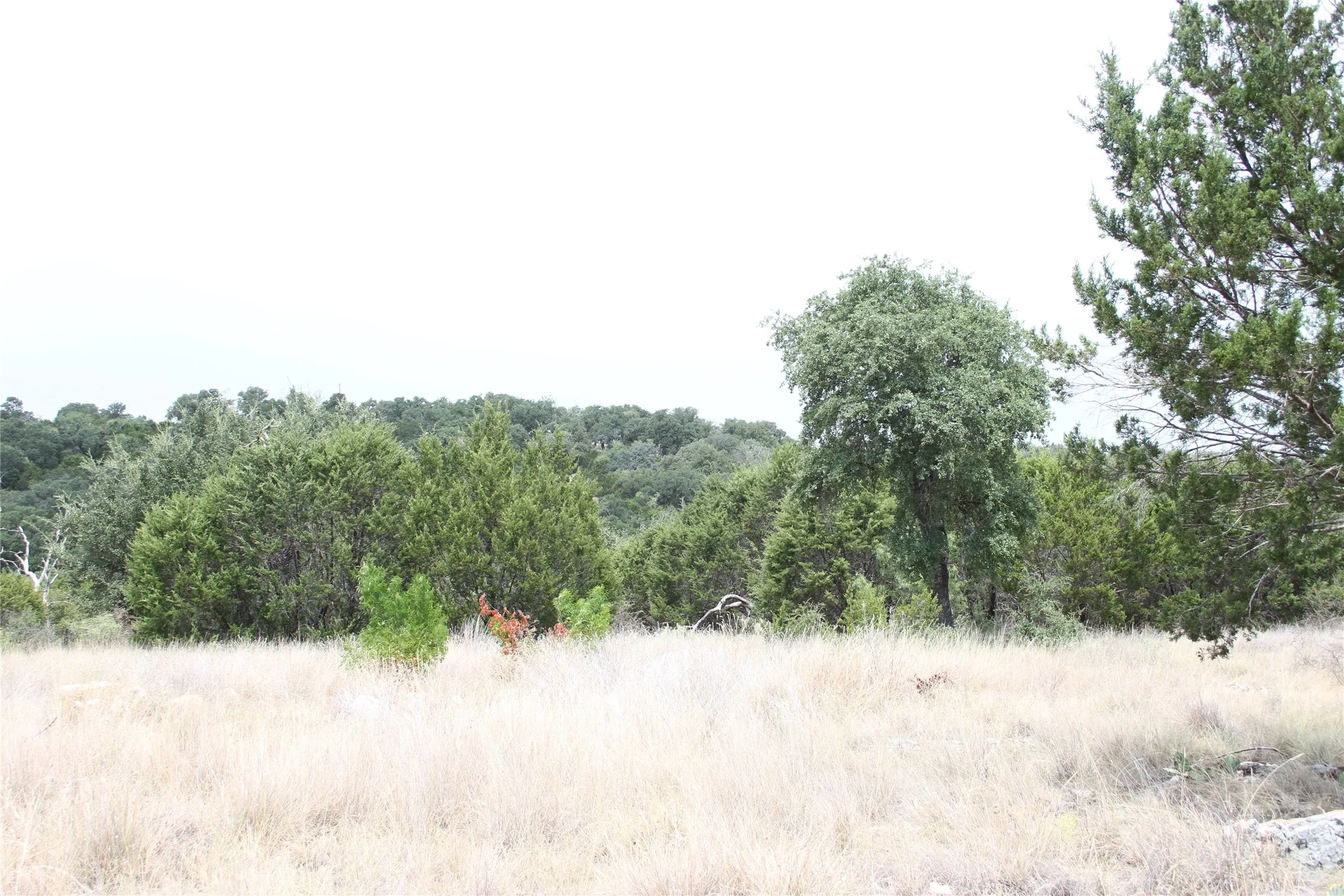 Improved Land For Sale in San Saba County , 9495 Turkey Trail, San Saba, Texas 76877, 0, 0, Garage spaces, 0 Sqft, built in 0, mls#21370876, Real Estate Agent in San Saba, Homes For Sale in San Saba county, Homes For Sale in San Saba, Realtor in San Saba Texas, Real Estate Brokerage Independent Realty Texas, Luminita Cordes Realtor