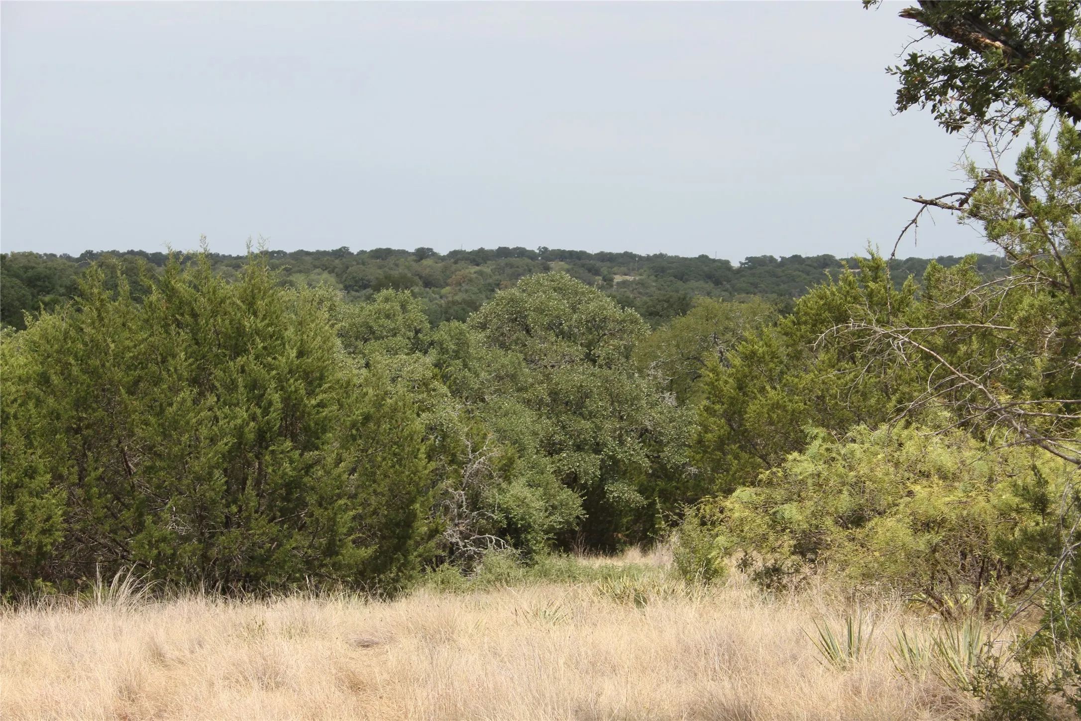 Improved Land For Sale in San Saba County , 9495 Turkey Trail, San Saba, Texas 76877, 0, 0, Garage spaces, 0 Sqft, built in 0, mls#21370876, Real Estate Agent in San Saba, Homes For Sale in San Saba county, Homes For Sale in San Saba, Realtor in San Saba Texas, Real Estate Brokerage Independent Realty Texas, Luminita Cordes Realtor