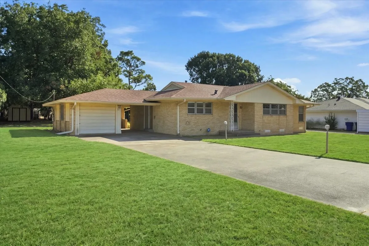 Front exterior - artificially greened yard due to season
