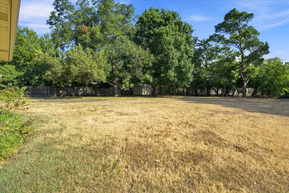 Backyard with mature a Pecan tree.