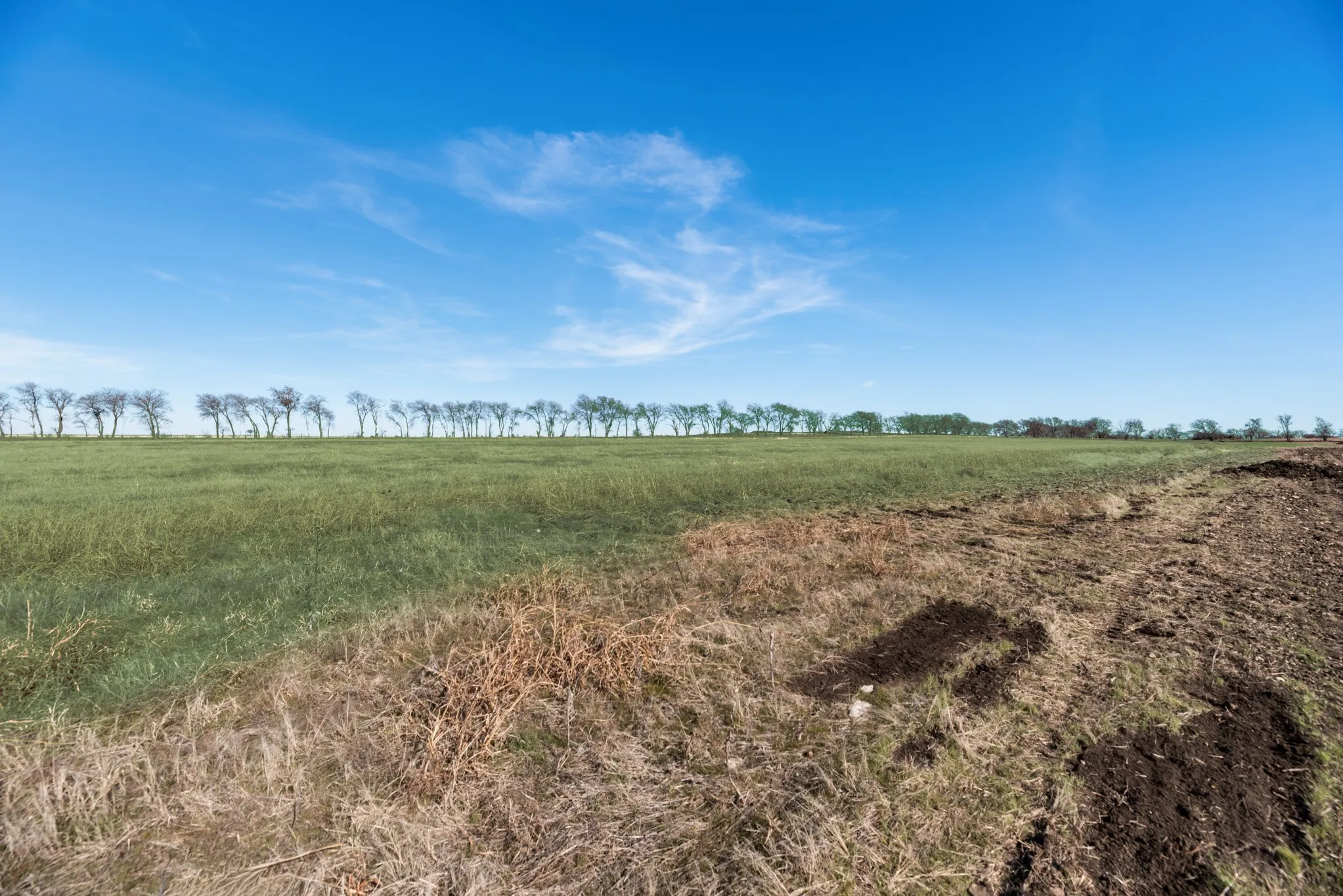 Unimproved Land For Sale in Denton County , TBD Bois D' Arc Lane, Ponder, Texas 76259, 0, 0, Garage spaces, 0 Sqft, built in 0, mls#21371899, Real Estate Agent in Ponder, Homes For Sale in Denton county, Homes For Sale in Ponder, Realtor in Ponder Texas, Real Estate Brokerage Independent Realty Texas, Luminita Cordes Realtor