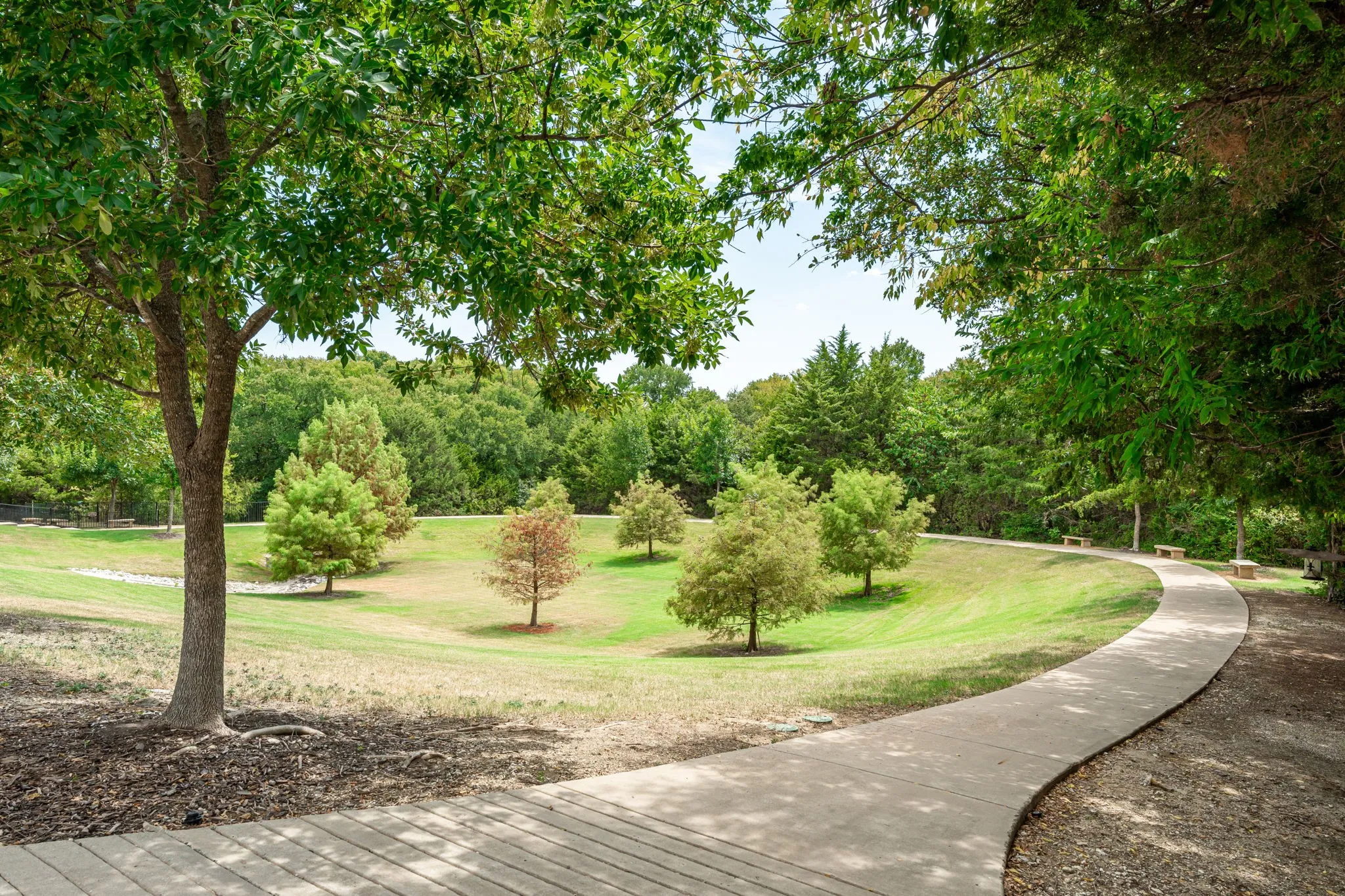 Curved concrete pathway bordering a sloped grass area with scattered trees, surrounded by dense foliage