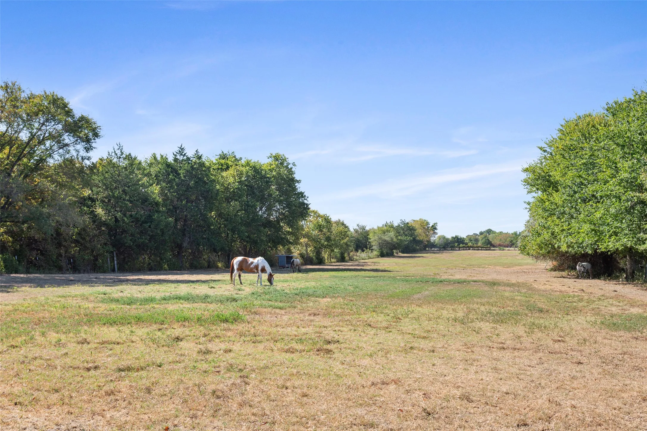 Single Family Residence For Sale in Freestone County , 420 E US Highway 84, Fairfield, Texas 75840, 3 Bedroom, 2 Bathroom, 2 Garage spaces, 1,930 Sqft, built in 1991, mls#21371849, Real Estate Agent in Fairfield, Homes For Sale in Freestone county, Homes For Sale in Fairfield, Realtor in Fairfield Texas, Real Estate Brokerage Independent Realty Texas, Luminita Cordes Realtor