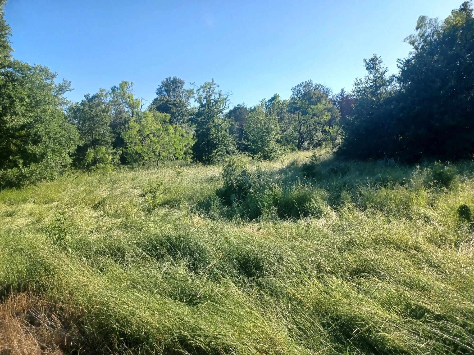 Unimproved Land For Sale in Limestone County , BLOCK 004 W Hwy 84 Highway, Mexia, Texas 76667, 0, 0, Garage spaces, 0 Sqft, built in 0, mls#21368050, Real Estate Agent in Mexia, Homes For Sale in Limestone county, Homes For Sale in Mexia, Realtor in Mexia Texas, Real Estate Brokerage Independent Realty Texas, Luminita Cordes Realtor
