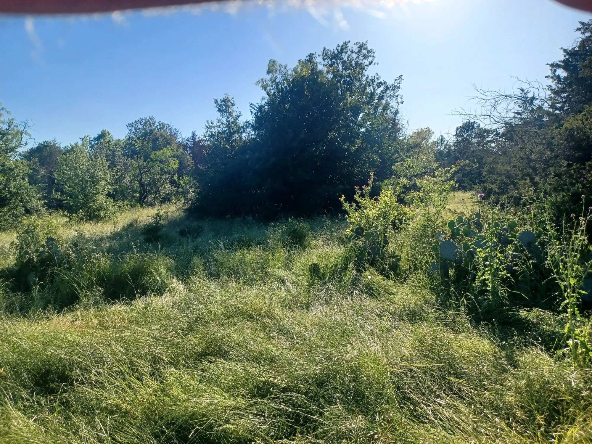 Unimproved Land For Sale in Limestone County , BLOCK 004 W Hwy 84 Highway, Mexia, Texas 76667, 0, 0, Garage spaces, 0 Sqft, built in 0, mls#21368050, Real Estate Agent in Mexia, Homes For Sale in Limestone county, Homes For Sale in Mexia, Realtor in Mexia Texas, Real Estate Brokerage Independent Realty Texas, Luminita Cordes Realtor