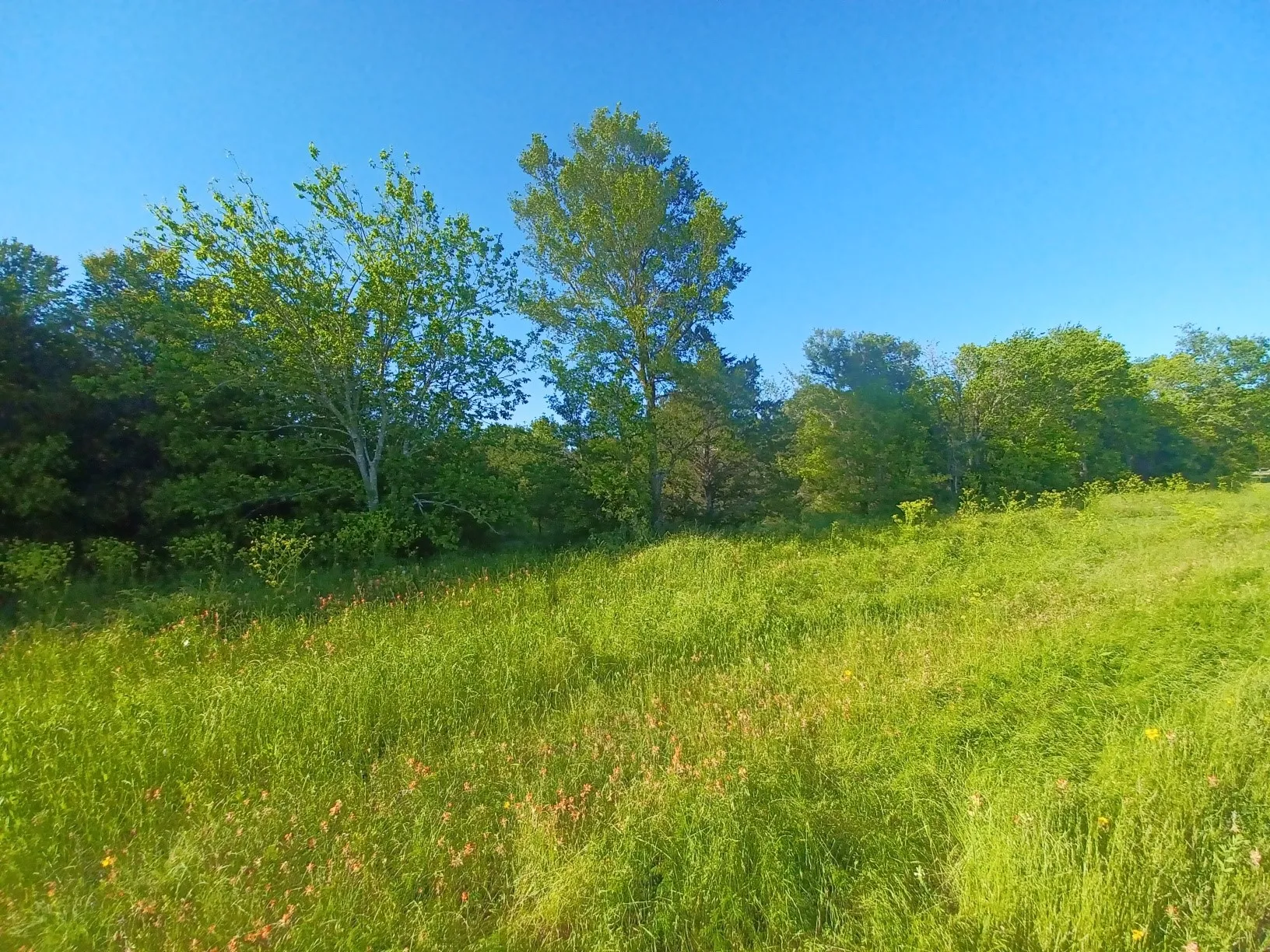 Unimproved Land For Sale in Limestone County , BLOCK 004 W Hwy 84 Highway, Mexia, Texas 76667, 0, 0, Garage spaces, 0 Sqft, built in 0, mls#21368050, Real Estate Agent in Mexia, Homes For Sale in Limestone county, Homes For Sale in Mexia, Realtor in Mexia Texas, Real Estate Brokerage Independent Realty Texas, Luminita Cordes Realtor