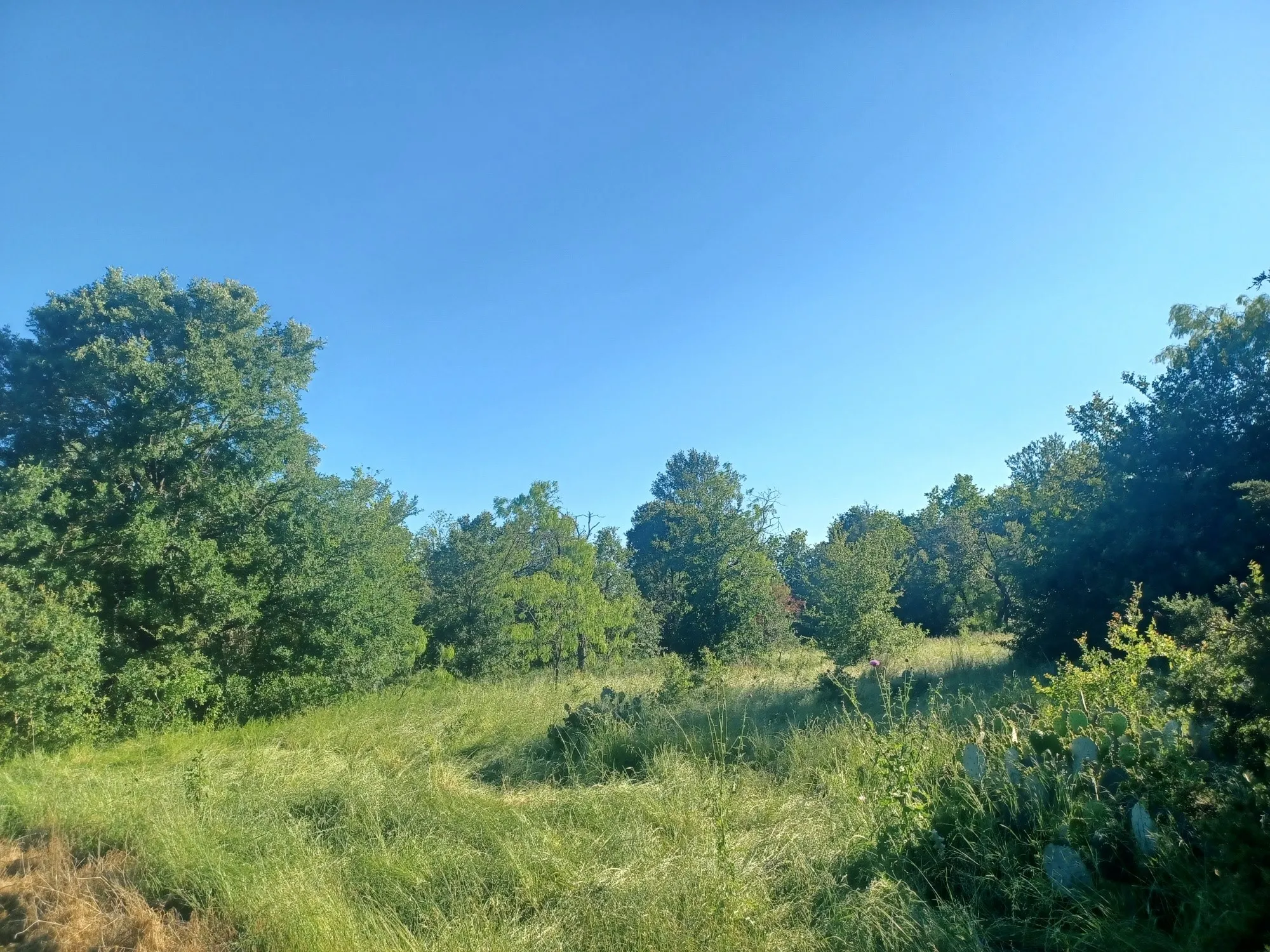 Unimproved Land For Sale in Limestone County , BLOCK 004 W Hwy 84 Highway, Mexia, Texas 76667, 0, 0, Garage spaces, 0 Sqft, built in 0, mls#21368050, Real Estate Agent in Mexia, Homes For Sale in Limestone county, Homes For Sale in Mexia, Realtor in Mexia Texas, Real Estate Brokerage Independent Realty Texas, Luminita Cordes Realtor