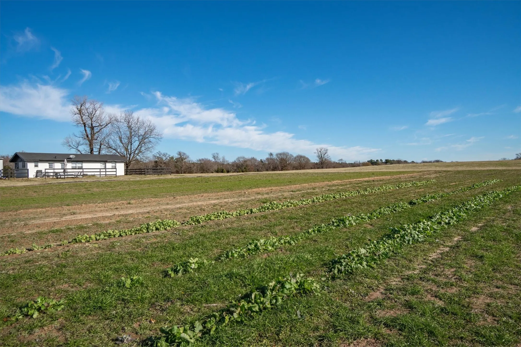 Single Family Residence For Sale in Henderson County , 8612 Fm 1616, Athens, Texas 75752, 3 Bedroom, 1 Bathroom, 2 Garage spaces, 1,360 Sqft, built in 1950, mls#21371855, Real Estate Agent in Athens, Homes For Sale in Henderson county, Homes For Sale in Athens, Realtor in Athens Texas, Real Estate Brokerage Independent Realty Texas, Luminita Cordes Realtor