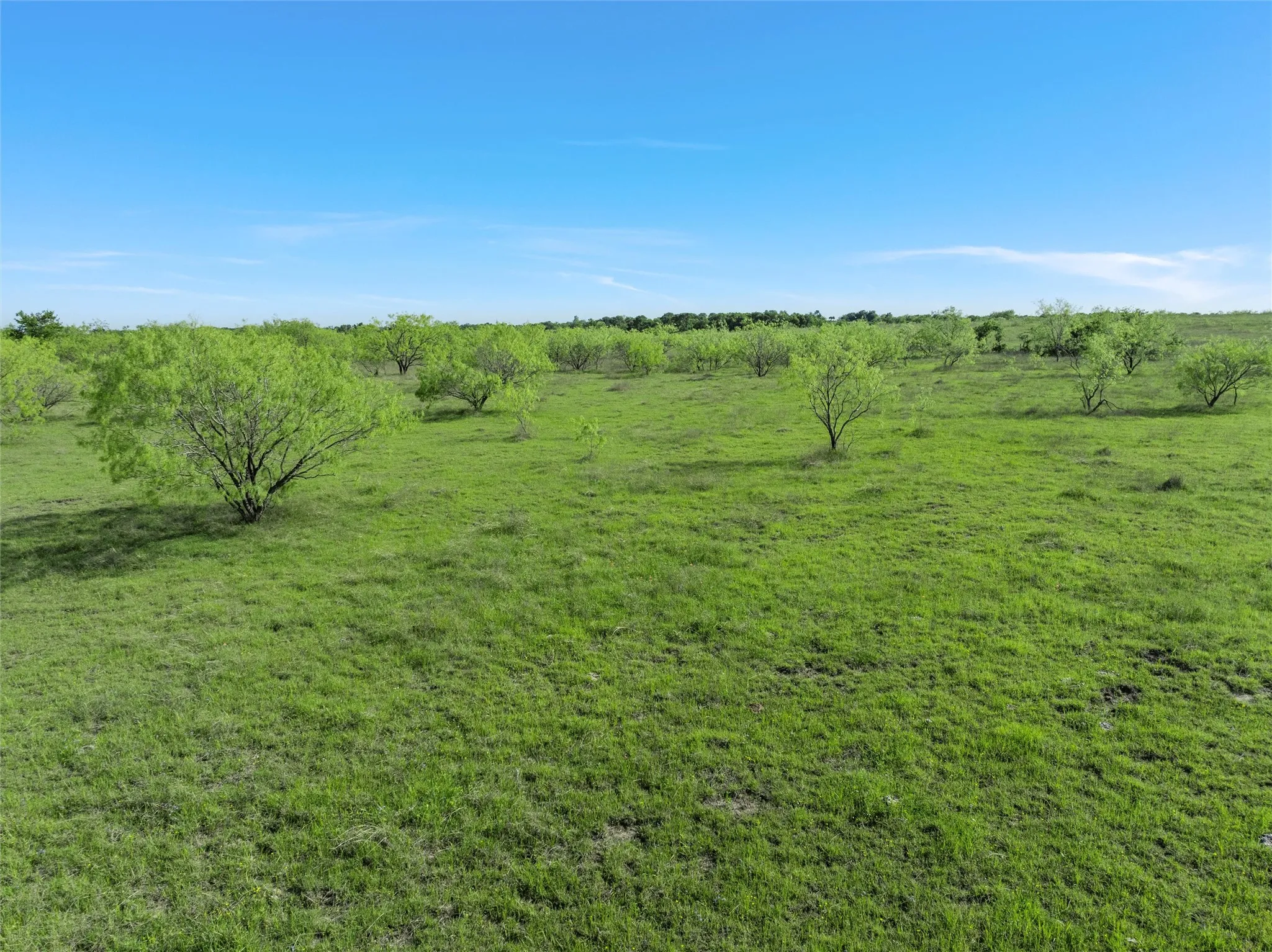 Improved Land For Sale in Mc Lennan County , TBD 7 Mile Lane, Riesel, Texas 76682, 0, 0, Garage spaces, 0 Sqft, built in 0, mls#21371473, Real Estate Agent in Riesel, Homes For Sale in Mc Lennan county, Homes For Sale in Riesel, Realtor in Riesel Texas, Real Estate Brokerage Independent Realty Texas, Luminita Cordes Realtor