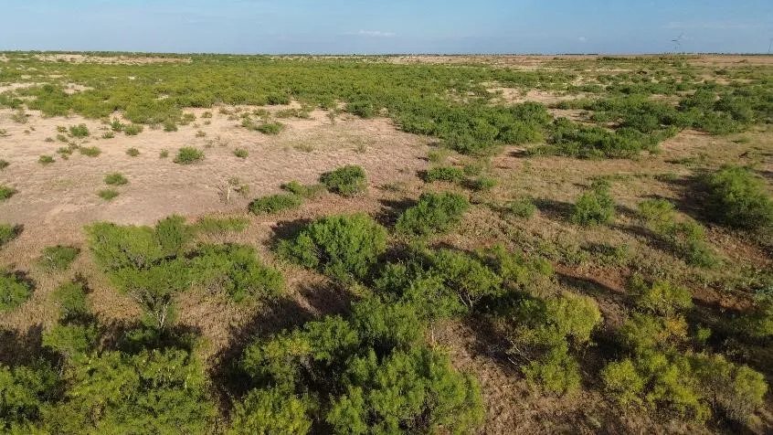 Ranch For Sale in Baylor County , TBD CR 218, Seymour, Texas 76380, 0, 0, Garage spaces, 0 Sqft, built in 0, mls#21371931, Real Estate Agent in Seymour, Homes For Sale in Baylor county, Homes For Sale in Seymour, Realtor in Seymour Texas, Real Estate Brokerage Independent Realty Texas, Luminita Cordes Realtor