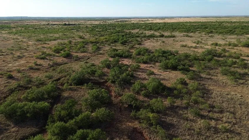 Ranch For Sale in Baylor County , TBD CR 218, Seymour, Texas 76380, 0, 0, Garage spaces, 0 Sqft, built in 0, mls#21371931, Real Estate Agent in Seymour, Homes For Sale in Baylor county, Homes For Sale in Seymour, Realtor in Seymour Texas, Real Estate Brokerage Independent Realty Texas, Luminita Cordes Realtor