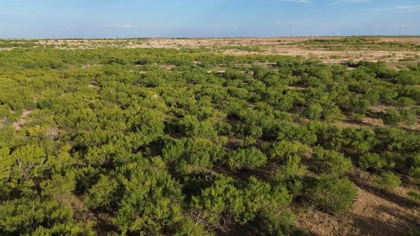 Ranch For Sale in Baylor County , TBD CR 218, Seymour, Texas 76380, 0, 0, Garage spaces, 0 Sqft, built in 0, mls#21371931, Real Estate Agent in Seymour, Homes For Sale in Baylor county, Homes For Sale in Seymour, Realtor in Seymour Texas, Real Estate Brokerage Independent Realty Texas, Luminita Cordes Realtor