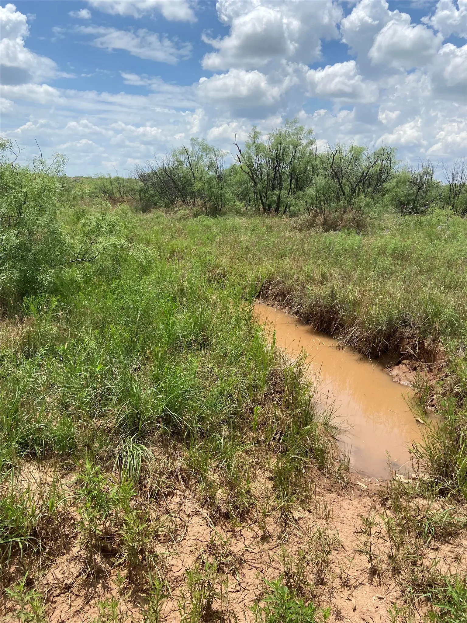 Ranch For Sale in Baylor County , TBD CR 218, Seymour, Texas 76380, 0, 0, Garage spaces, 0 Sqft, built in 0, mls#21371931, Real Estate Agent in Seymour, Homes For Sale in Baylor county, Homes For Sale in Seymour, Realtor in Seymour Texas, Real Estate Brokerage Independent Realty Texas, Luminita Cordes Realtor