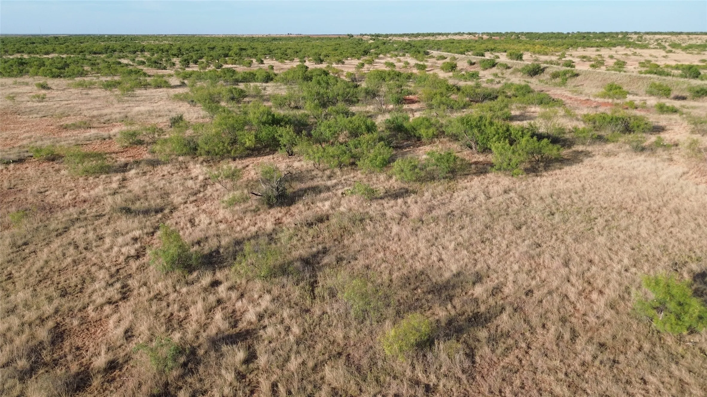Ranch For Sale in Baylor County , TBD CR 218, Seymour, Texas 76380, 0, 0, Garage spaces, 0 Sqft, built in 0, mls#21371931, Real Estate Agent in Seymour, Homes For Sale in Baylor county, Homes For Sale in Seymour, Realtor in Seymour Texas, Real Estate Brokerage Independent Realty Texas, Luminita Cordes Realtor