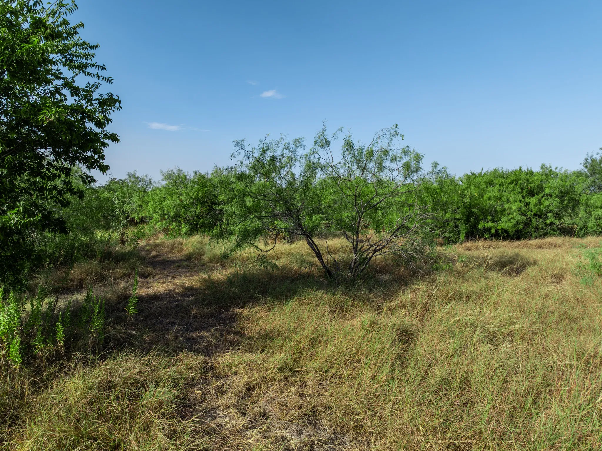 Single Family Residence For Sale in Mc Lennan County , 205 Rabbit Run, Woodway, Texas 76712, 3 Bedroom, 2 Bathroom, Garage spaces, 1,450 Sqft, built in 1955, mls#21371896, Real Estate Agent in Woodway, Homes For Sale in Mc Lennan county, Homes For Sale in Woodway, Realtor in Woodway Texas, Real Estate Brokerage Independent Realty Texas, Luminita Cordes Realtor