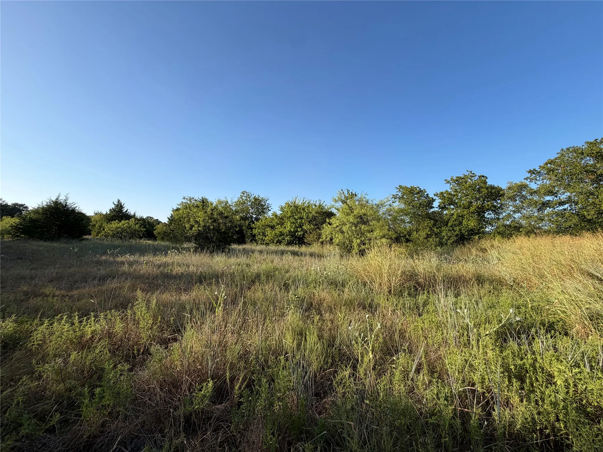 Unimproved Land For Sale in Dallas County , 13301 Greengrove Lane, Dallas, Texas 75253, 0, 0, Garage spaces, 0 Sqft, built in 0, mls#21368602, Real Estate Agent in Dallas, Homes For Sale in Dallas county, Homes For Sale in Dallas, Realtor in Dallas Texas, Real Estate Brokerage Independent Realty Texas, Luminita Cordes Realtor