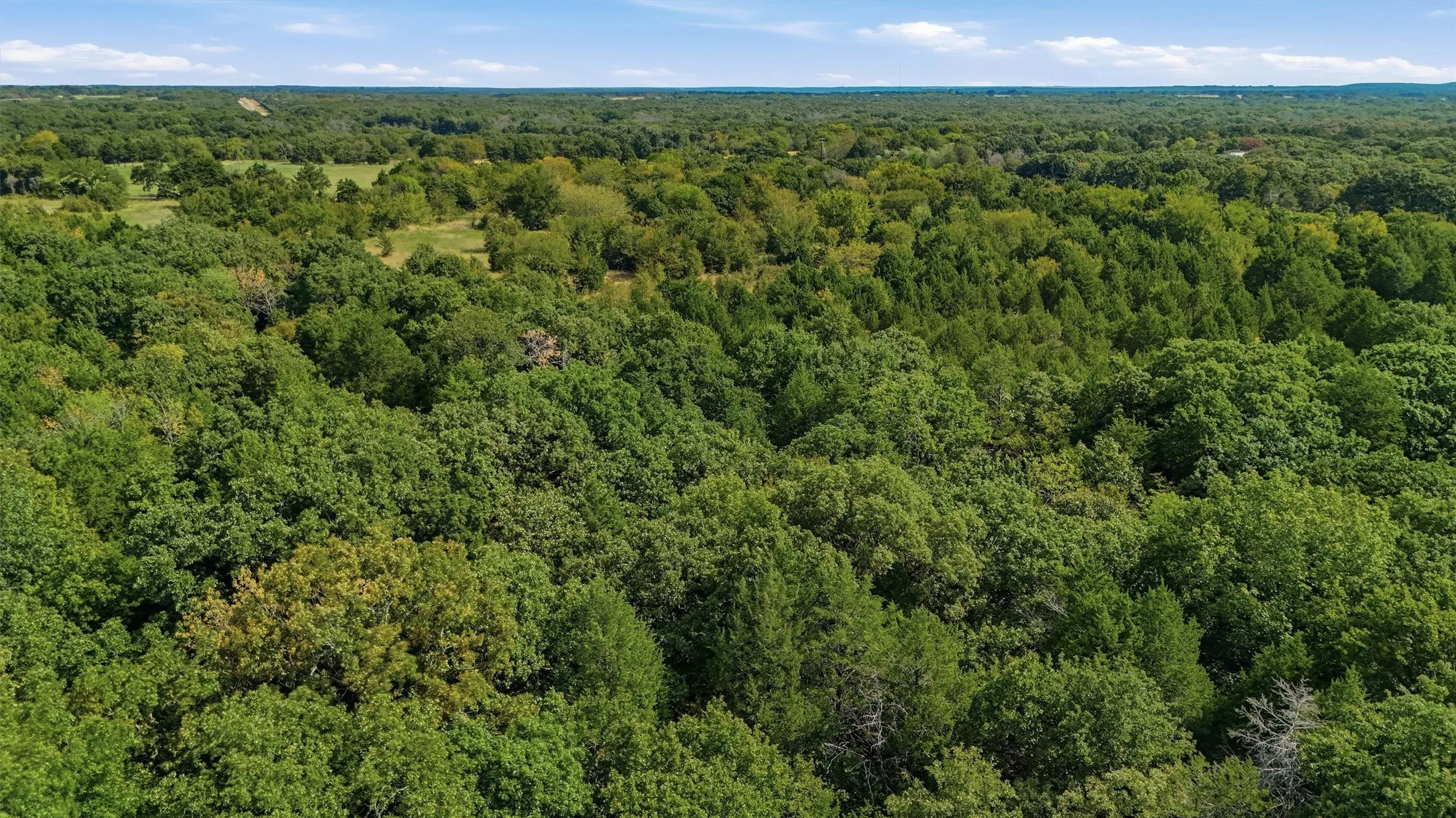Improved Land For Sale in Grayson County , 000 Bill Holder Rd Road, Sadler, Texas 76264, 0, 0, Garage spaces, 0 Sqft, built in 0, mls#21371978, Real Estate Agent in Sadler, Homes For Sale in Grayson county, Homes For Sale in Sadler, Realtor in Sadler Texas, Real Estate Brokerage Independent Realty Texas, Luminita Cordes Realtor