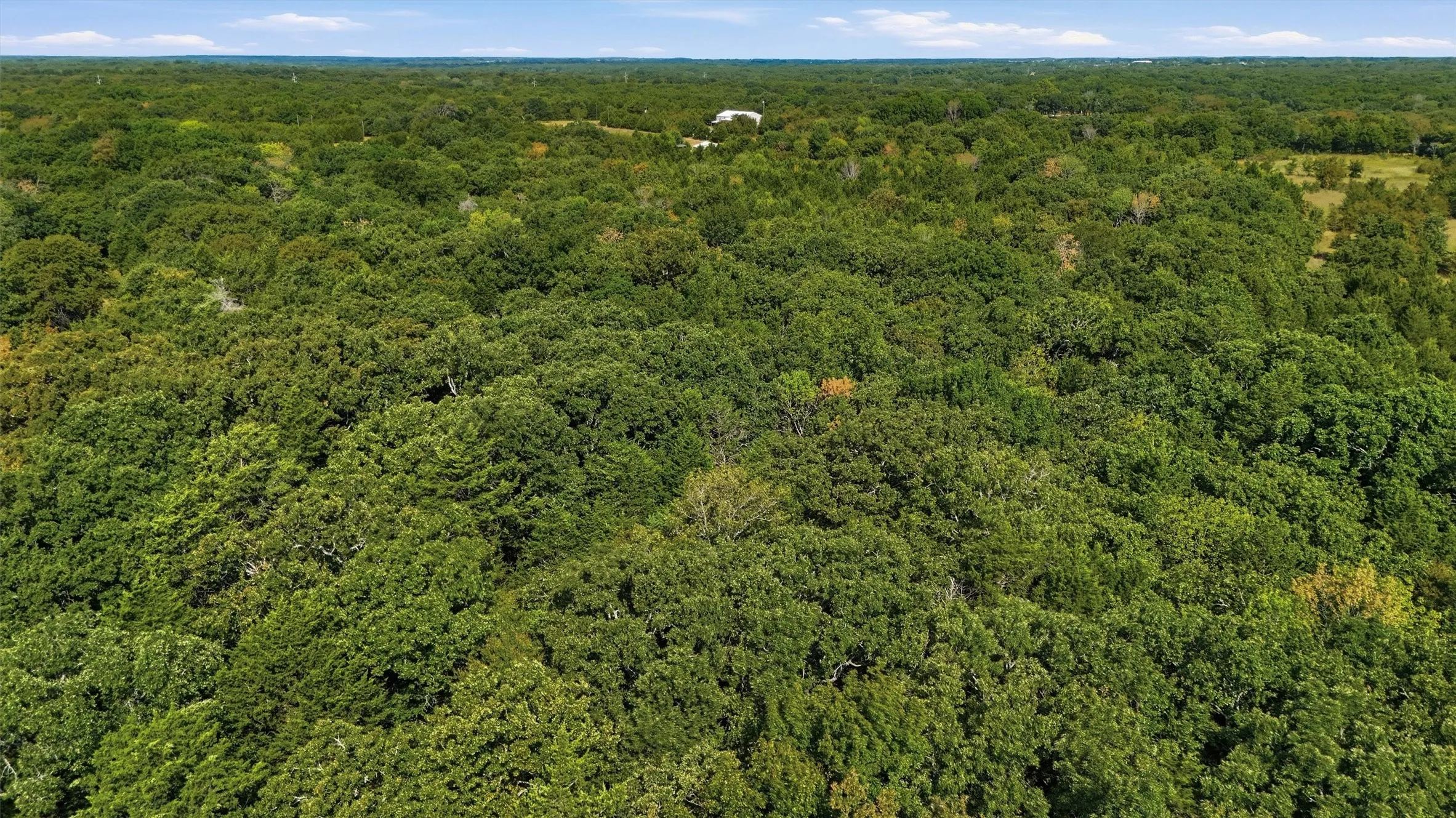 Improved Land For Sale in Grayson County , 000 Bill Holder Rd Road, Sadler, Texas 76264, 0, 0, Garage spaces, 0 Sqft, built in 0, mls#21371978, Real Estate Agent in Sadler, Homes For Sale in Grayson county, Homes For Sale in Sadler, Realtor in Sadler Texas, Real Estate Brokerage Independent Realty Texas, Luminita Cordes Realtor
