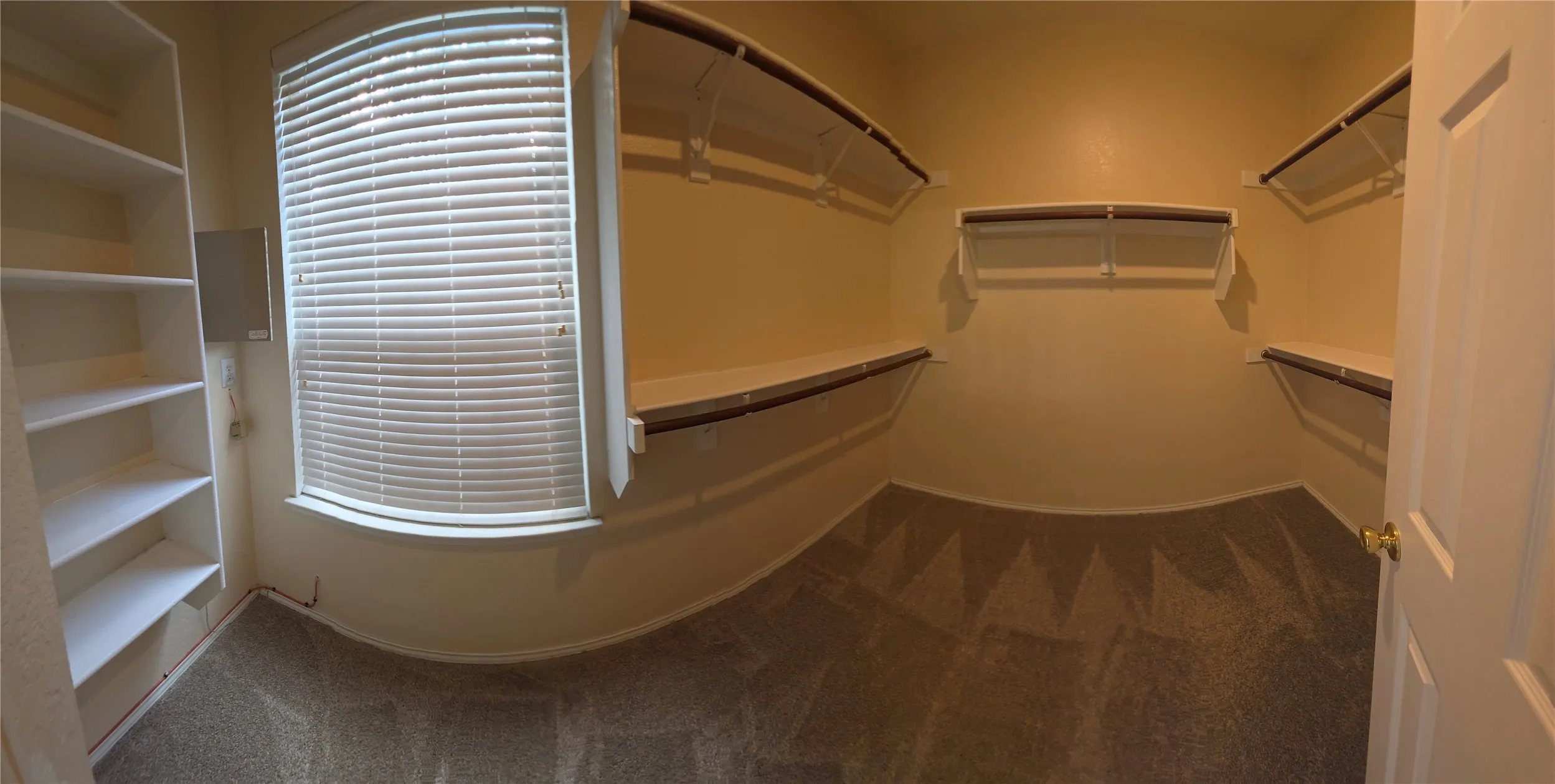Expansive walk-in closet featuring built-in shelving, organized hanging rods, window with blinds, and neutral carpeting