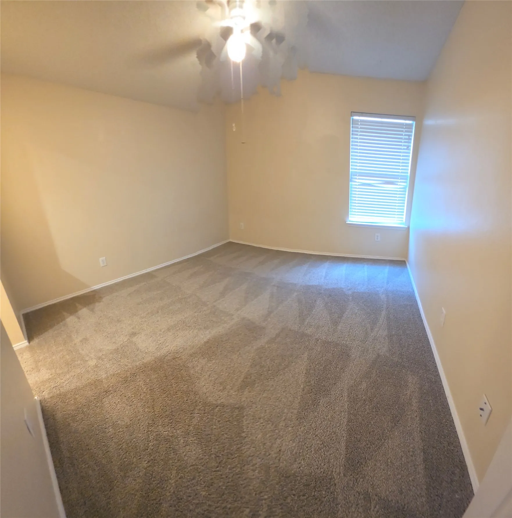 Carpeted room featuring a ceiling fan with light fixture and a window with horizontal blinds
