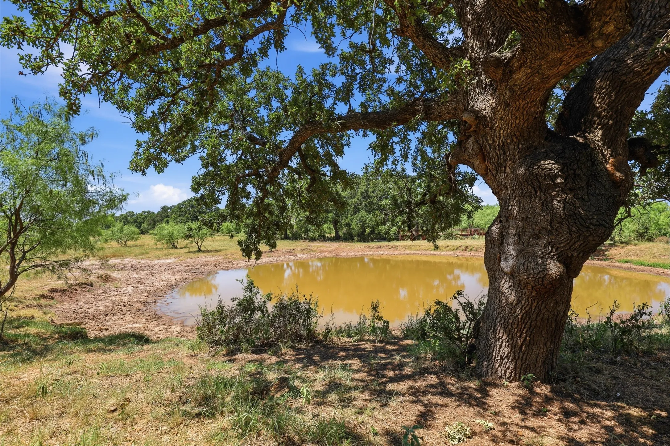 Ranch For Sale in Callahan County , 0 County Road 162, Cisco, Texas 76437, 0, 0, Garage spaces, 0 Sqft, built in 0, mls#21371030, Real Estate Agent in Cisco, Homes For Sale in Callahan county, Homes For Sale in Cisco, Realtor in Cisco Texas, Real Estate Brokerage Independent Realty Texas, Luminita Cordes Realtor