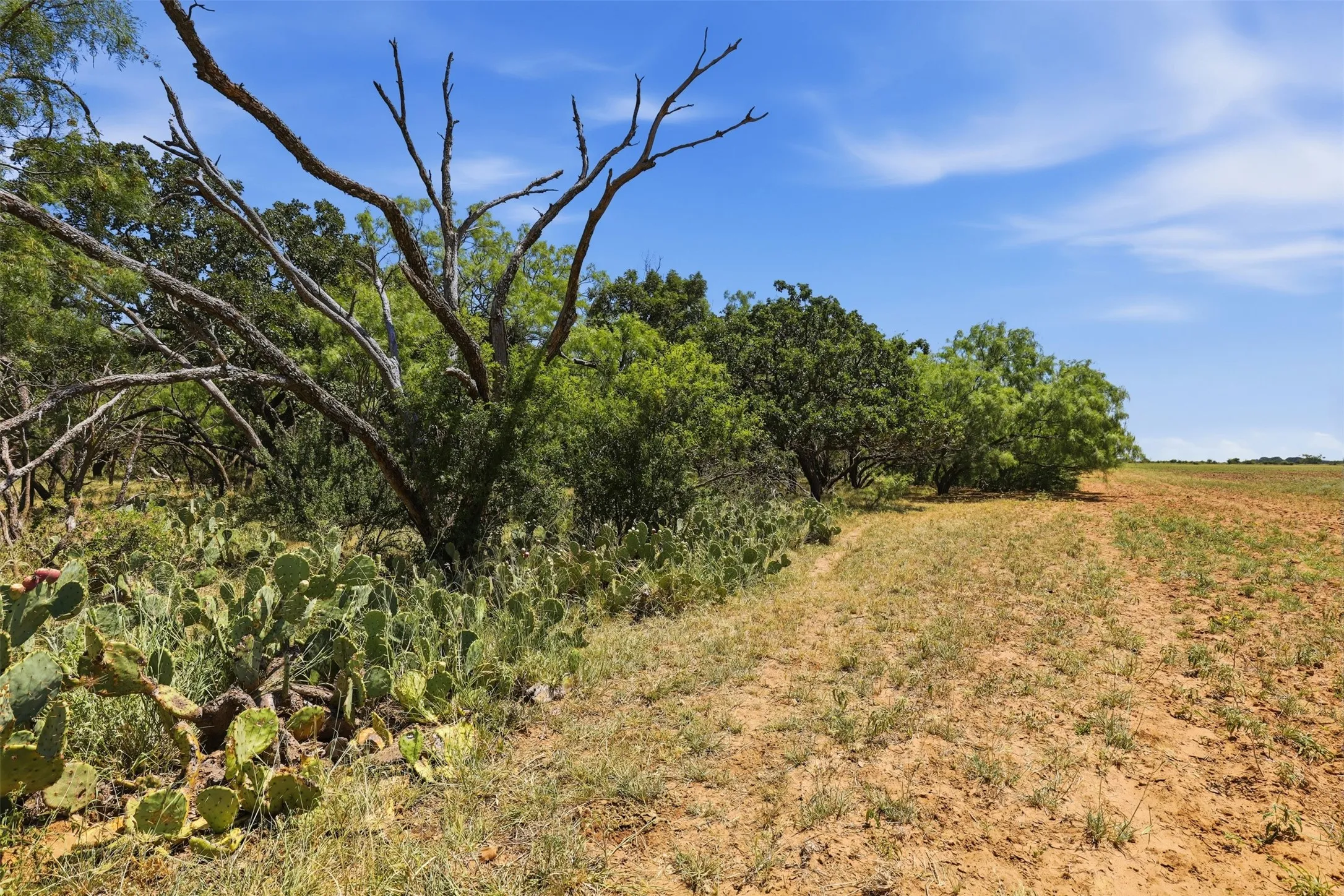 Ranch For Sale in Callahan County , 0 County Road 162, Cisco, Texas 76437, 0, 0, Garage spaces, 0 Sqft, built in 0, mls#21371030, Real Estate Agent in Cisco, Homes For Sale in Callahan county, Homes For Sale in Cisco, Realtor in Cisco Texas, Real Estate Brokerage Independent Realty Texas, Luminita Cordes Realtor