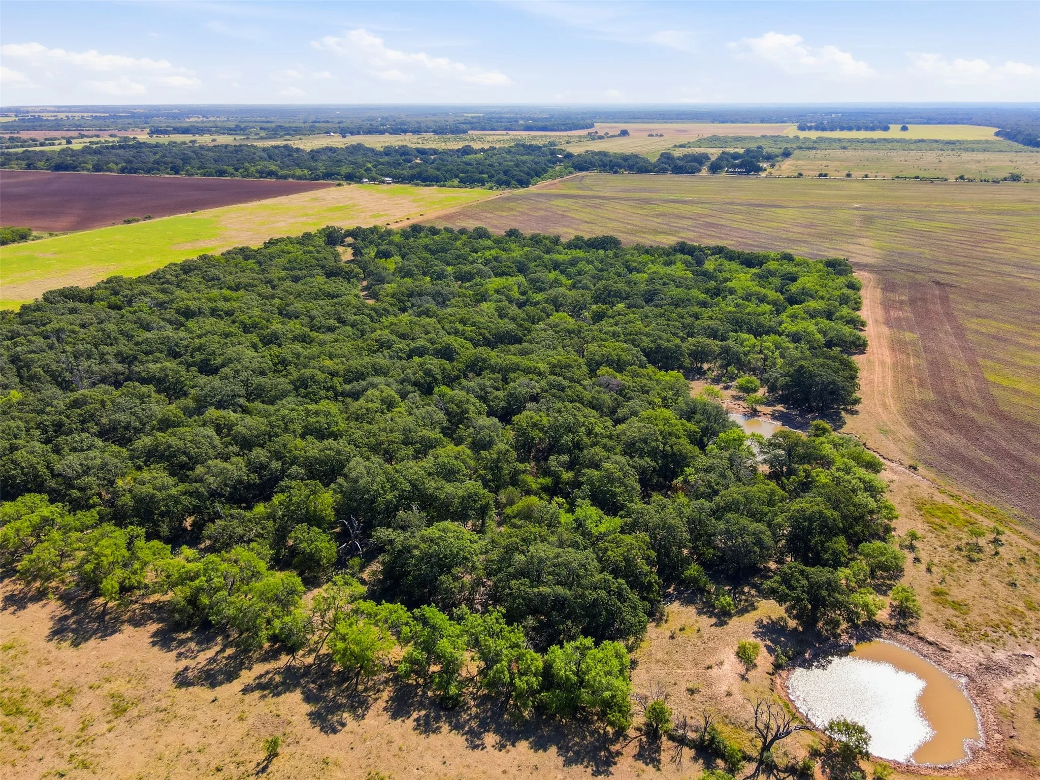 Ranch For Sale in Callahan County , 0 County Road 162, Cisco, Texas 76437, 0, 0, Garage spaces, 0 Sqft, built in 0, mls#21371030, Real Estate Agent in Cisco, Homes For Sale in Callahan county, Homes For Sale in Cisco, Realtor in Cisco Texas, Real Estate Brokerage Independent Realty Texas, Luminita Cordes Realtor