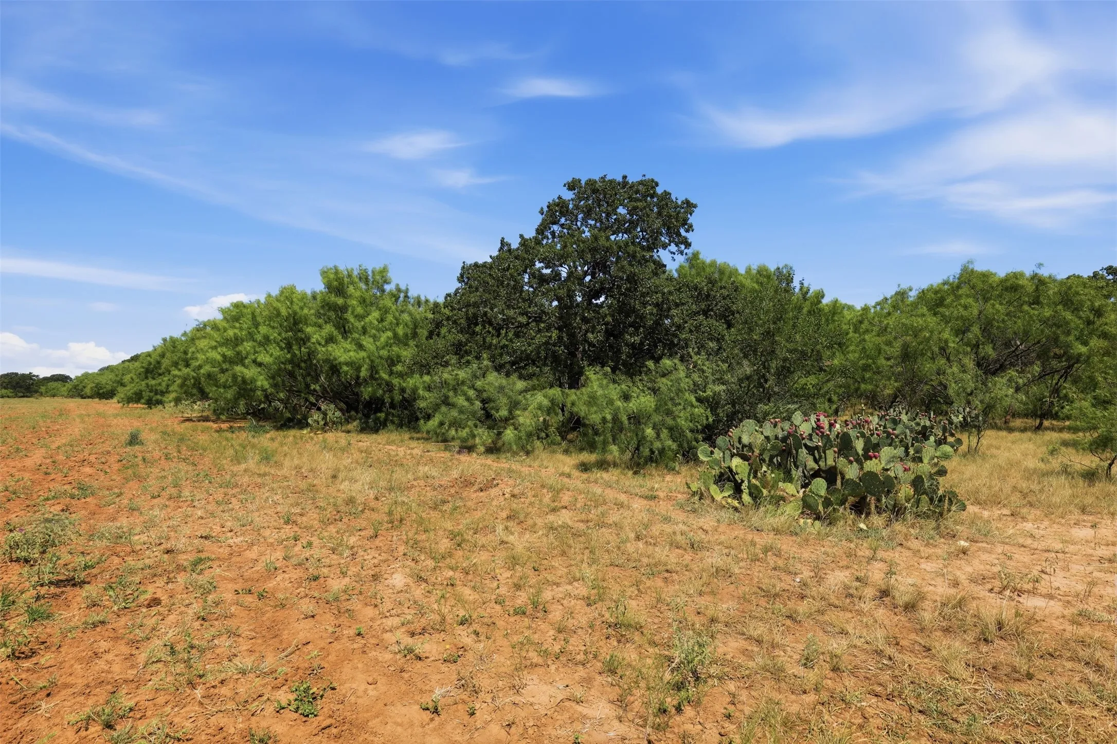 Ranch For Sale in Callahan County , 0 County Road 162, Cisco, Texas 76437, 0, 0, Garage spaces, 0 Sqft, built in 0, mls#21371030, Real Estate Agent in Cisco, Homes For Sale in Callahan county, Homes For Sale in Cisco, Realtor in Cisco Texas, Real Estate Brokerage Independent Realty Texas, Luminita Cordes Realtor