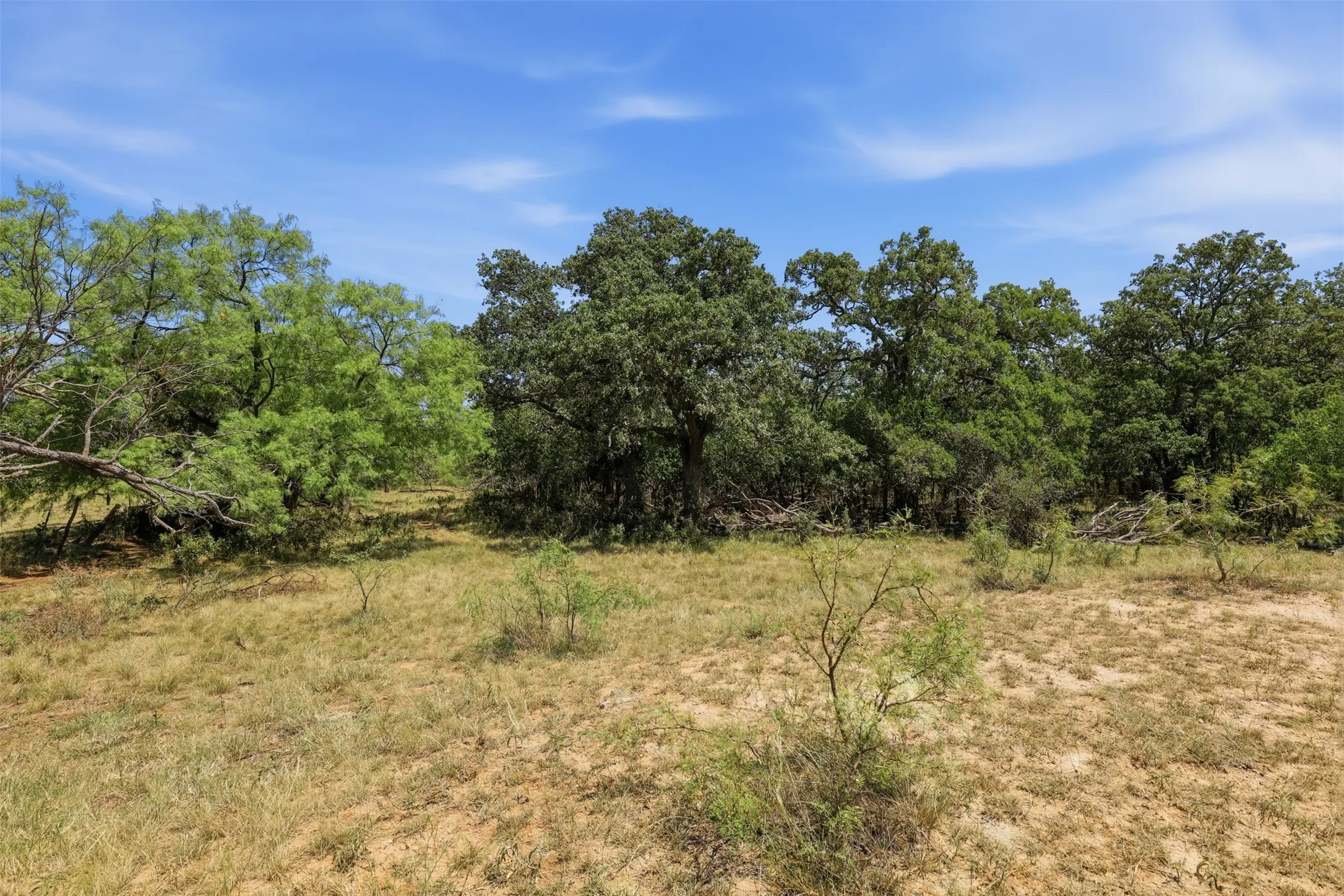 Ranch For Sale in Callahan County , 0 County Road 162, Cisco, Texas 76437, 0, 0, Garage spaces, 0 Sqft, built in 0, mls#21371030, Real Estate Agent in Cisco, Homes For Sale in Callahan county, Homes For Sale in Cisco, Realtor in Cisco Texas, Real Estate Brokerage Independent Realty Texas, Luminita Cordes Realtor