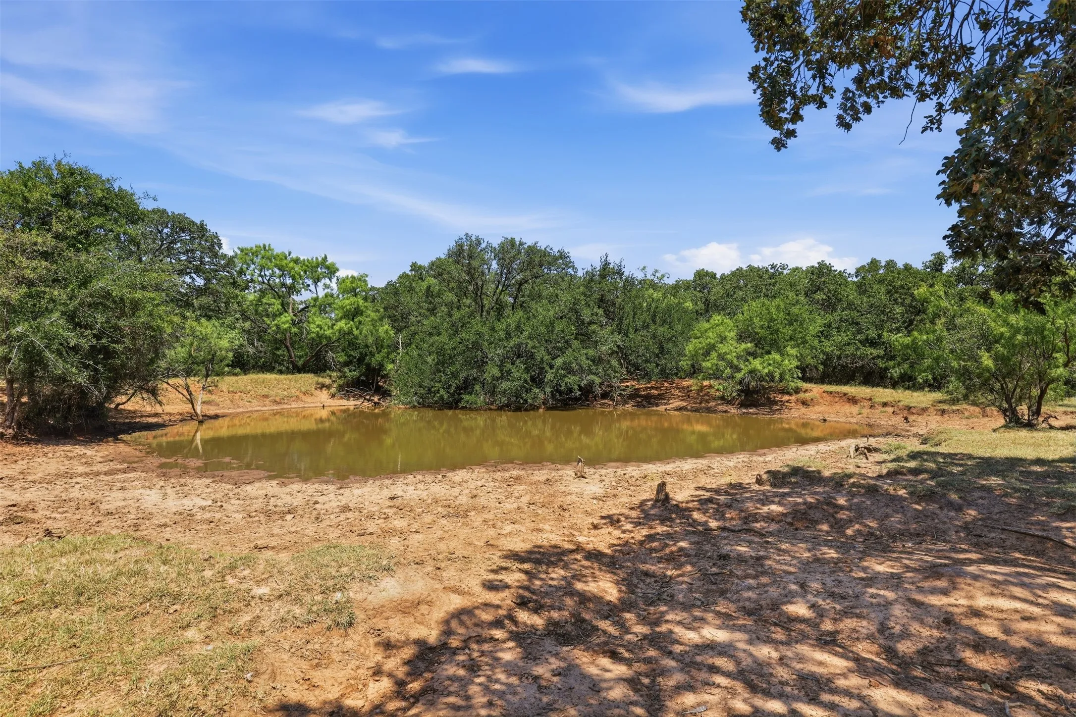 Ranch For Sale in Callahan County , 0 County Road 162, Cisco, Texas 76437, 0, 0, Garage spaces, 0 Sqft, built in 0, mls#21371030, Real Estate Agent in Cisco, Homes For Sale in Callahan county, Homes For Sale in Cisco, Realtor in Cisco Texas, Real Estate Brokerage Independent Realty Texas, Luminita Cordes Realtor