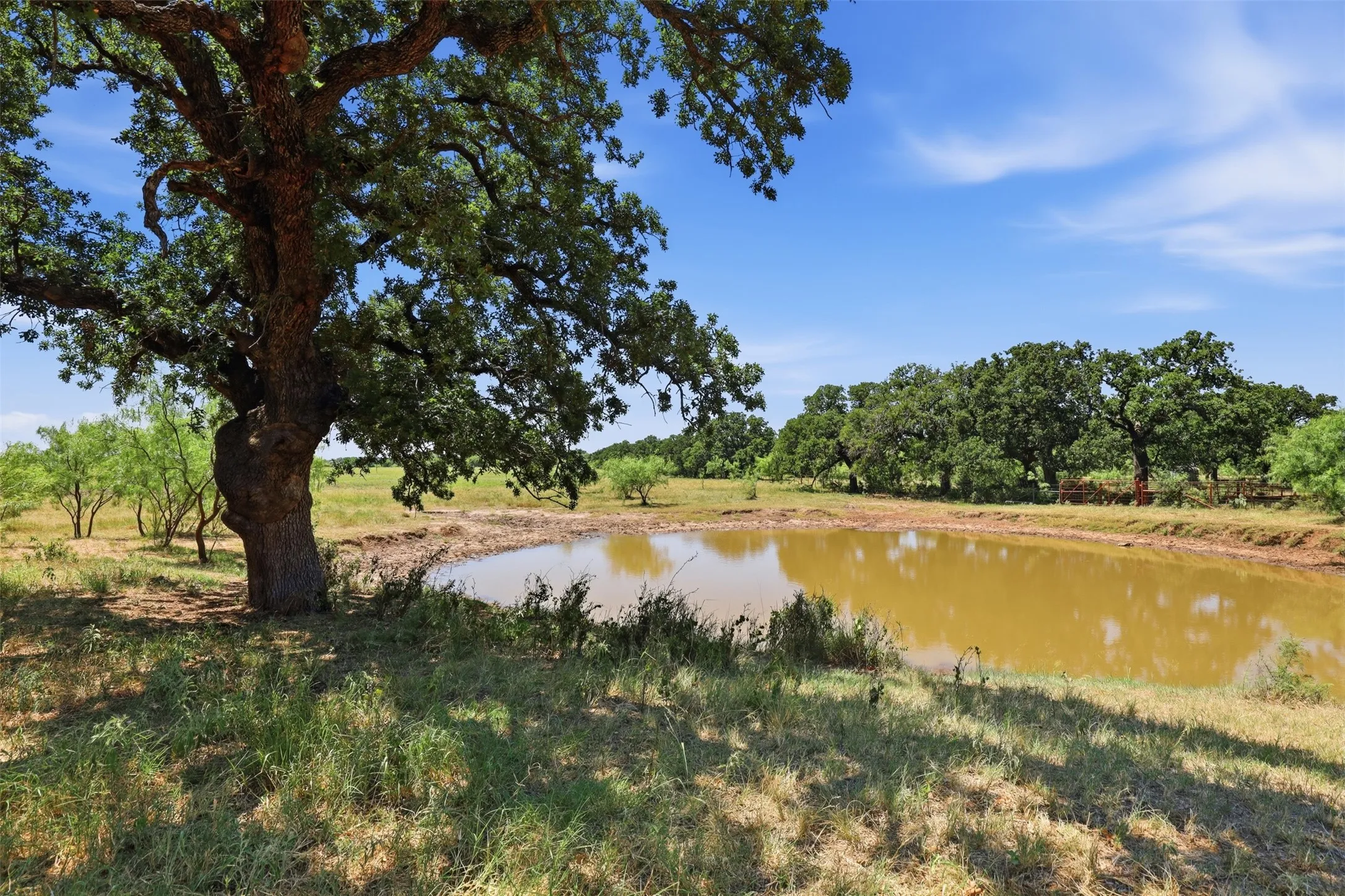 Ranch For Sale in Callahan County , 0 County Road 162, Cisco, Texas 76437, 0, 0, Garage spaces, 0 Sqft, built in 0, mls#21371030, Real Estate Agent in Cisco, Homes For Sale in Callahan county, Homes For Sale in Cisco, Realtor in Cisco Texas, Real Estate Brokerage Independent Realty Texas, Luminita Cordes Realtor