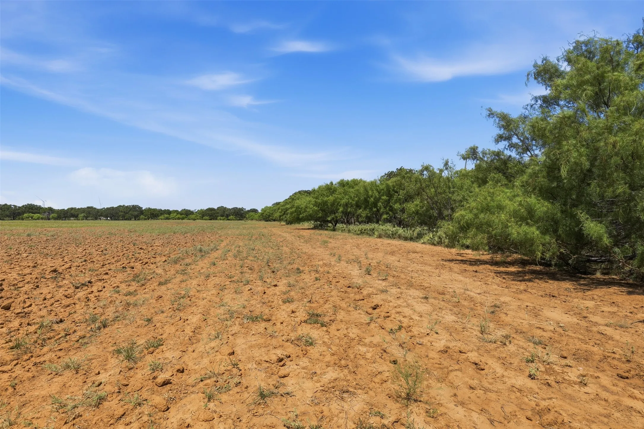 Ranch For Sale in Callahan County , 0 County Road 162, Cisco, Texas 76437, 0, 0, Garage spaces, 0 Sqft, built in 0, mls#21371030, Real Estate Agent in Cisco, Homes For Sale in Callahan county, Homes For Sale in Cisco, Realtor in Cisco Texas, Real Estate Brokerage Independent Realty Texas, Luminita Cordes Realtor