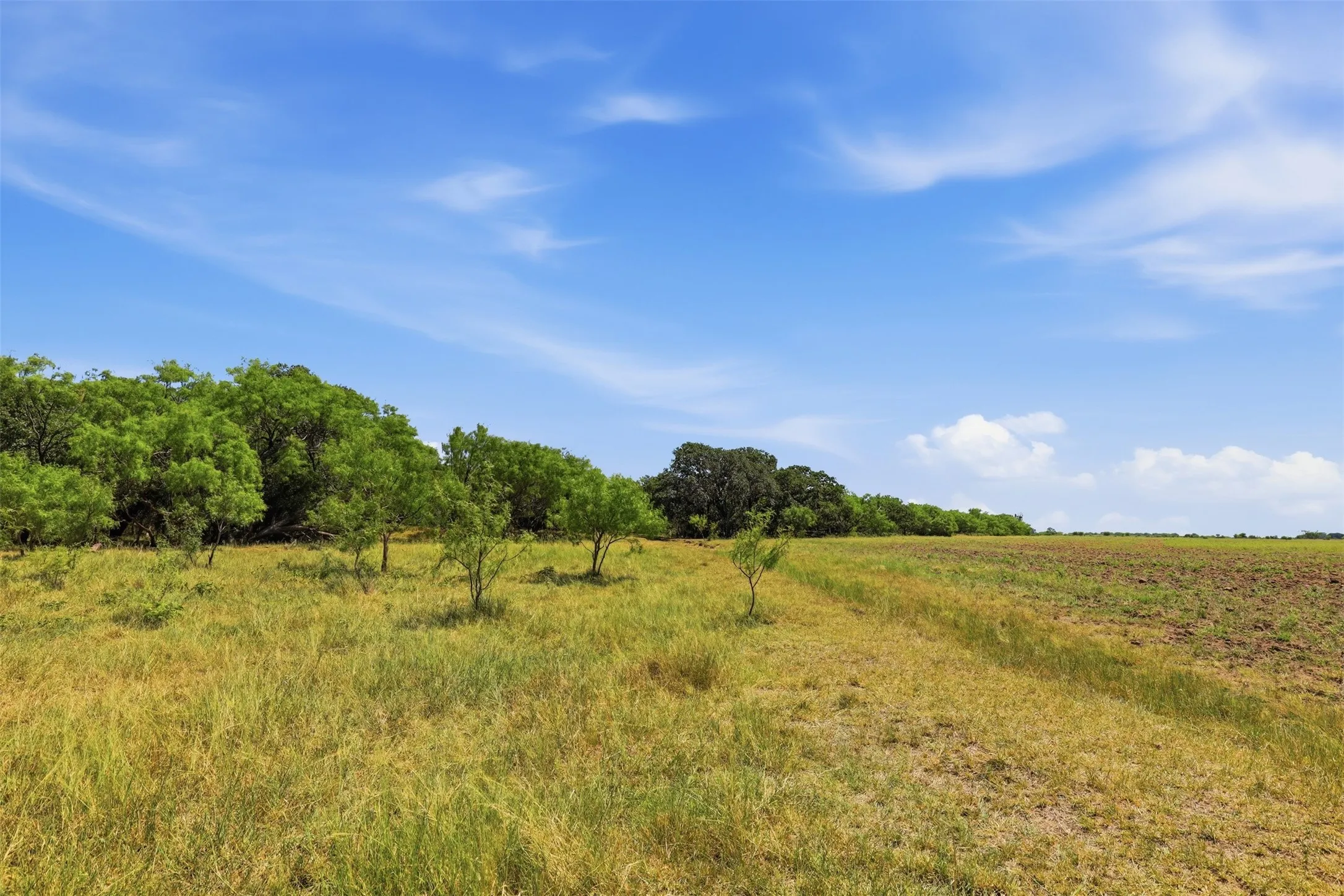 Ranch For Sale in Callahan County , 0 County Road 162, Cisco, Texas 76437, 0, 0, Garage spaces, 0 Sqft, built in 0, mls#21371030, Real Estate Agent in Cisco, Homes For Sale in Callahan county, Homes For Sale in Cisco, Realtor in Cisco Texas, Real Estate Brokerage Independent Realty Texas, Luminita Cordes Realtor